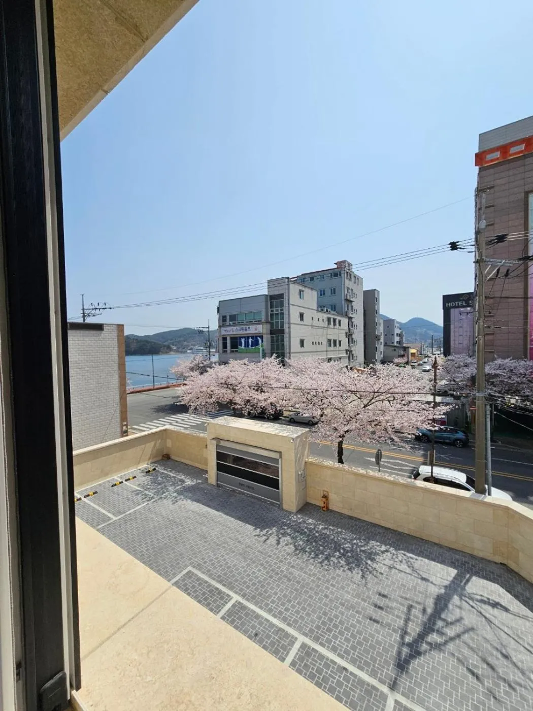 Daisy hotel