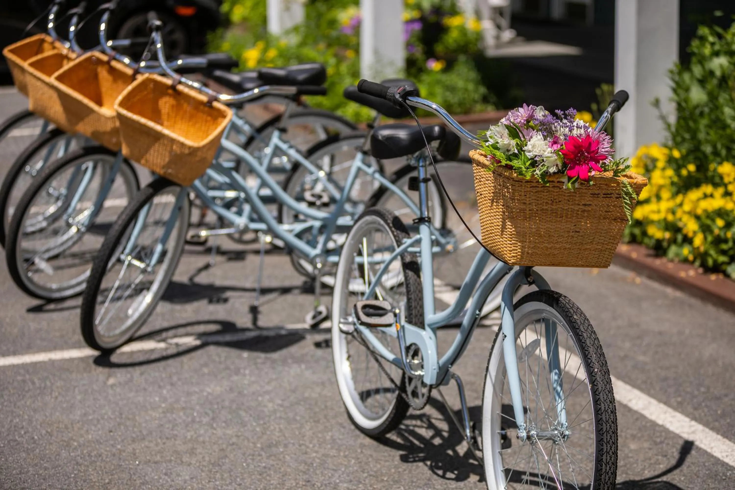 Cycling in The Shire Woodstock