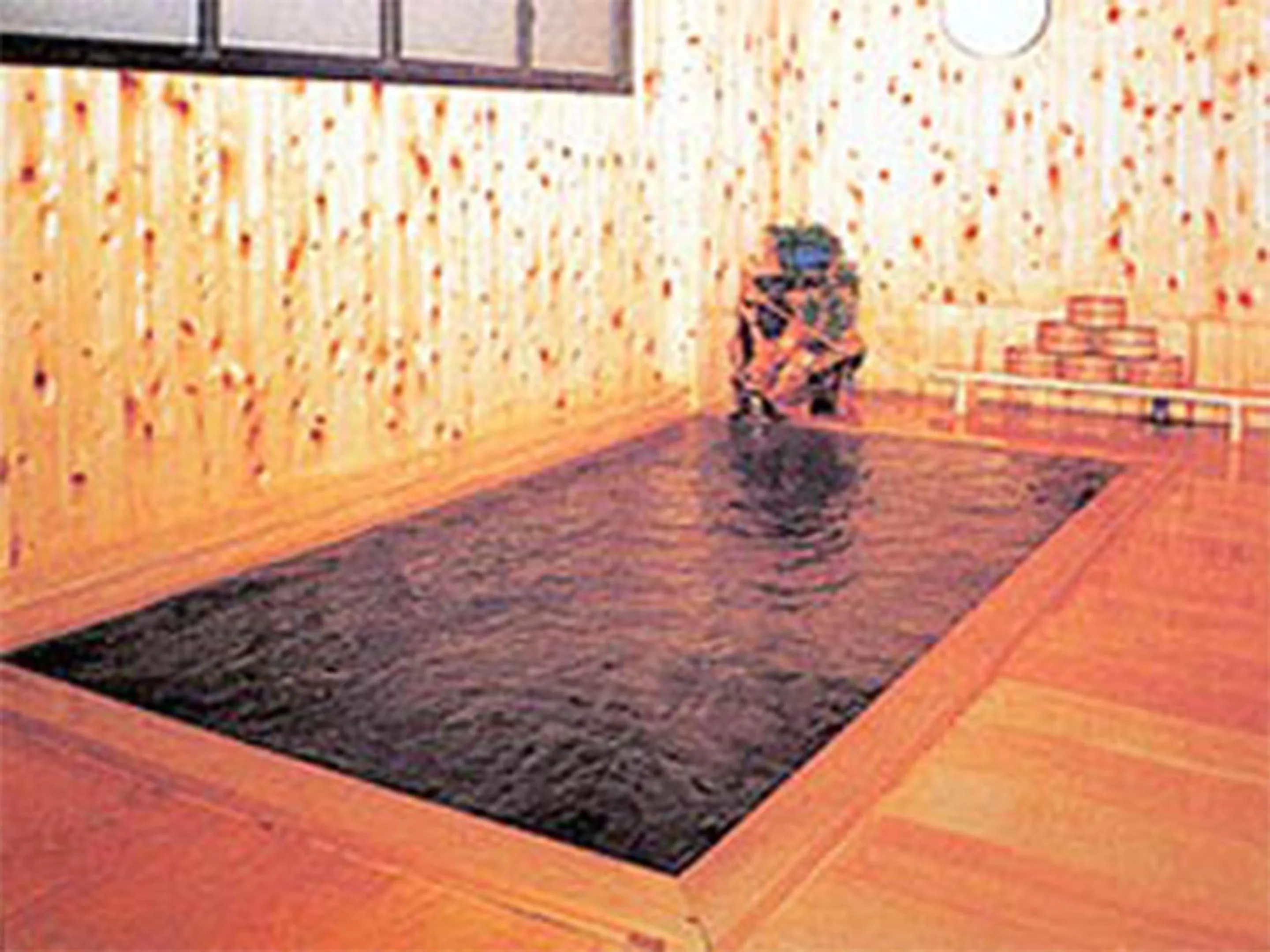 Hot Spring Bath in Hatsunoyu