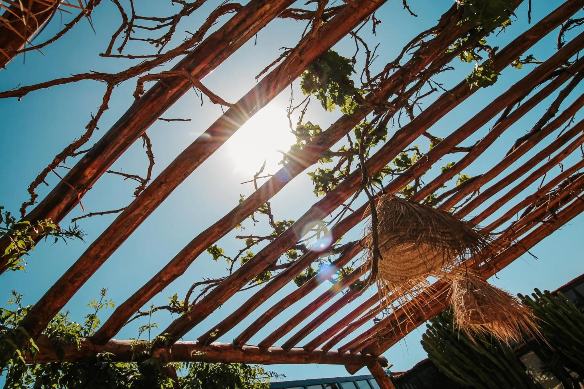 BBQ facilities in Hotel & Spa La Ferme El Dar