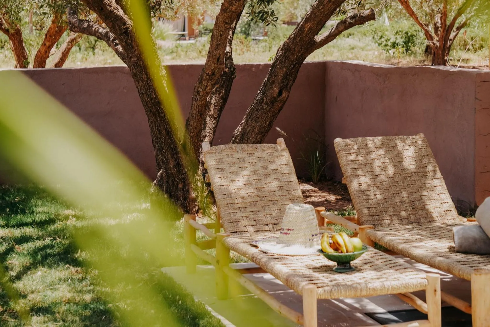 Garden in Hotel & Spa La Ferme El Dar