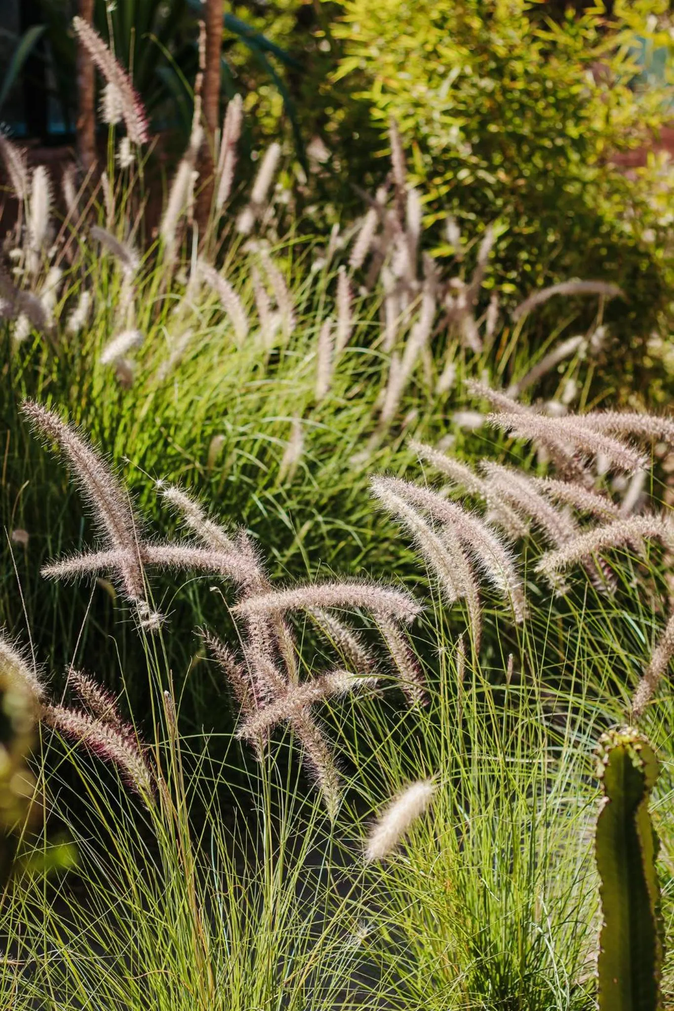 Garden in Hotel & Spa La Ferme El Dar