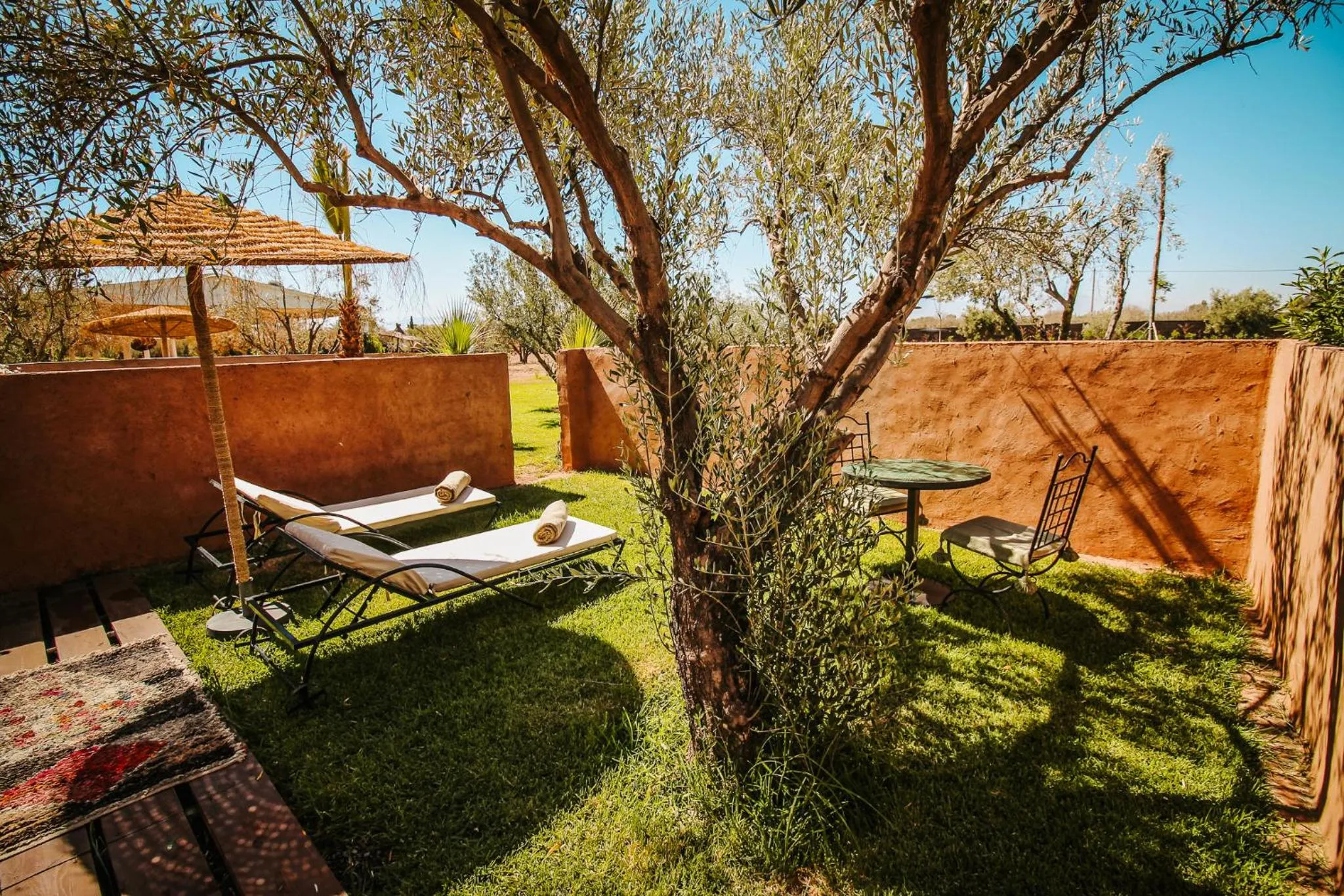 Garden in Hotel & Spa La Ferme El Dar