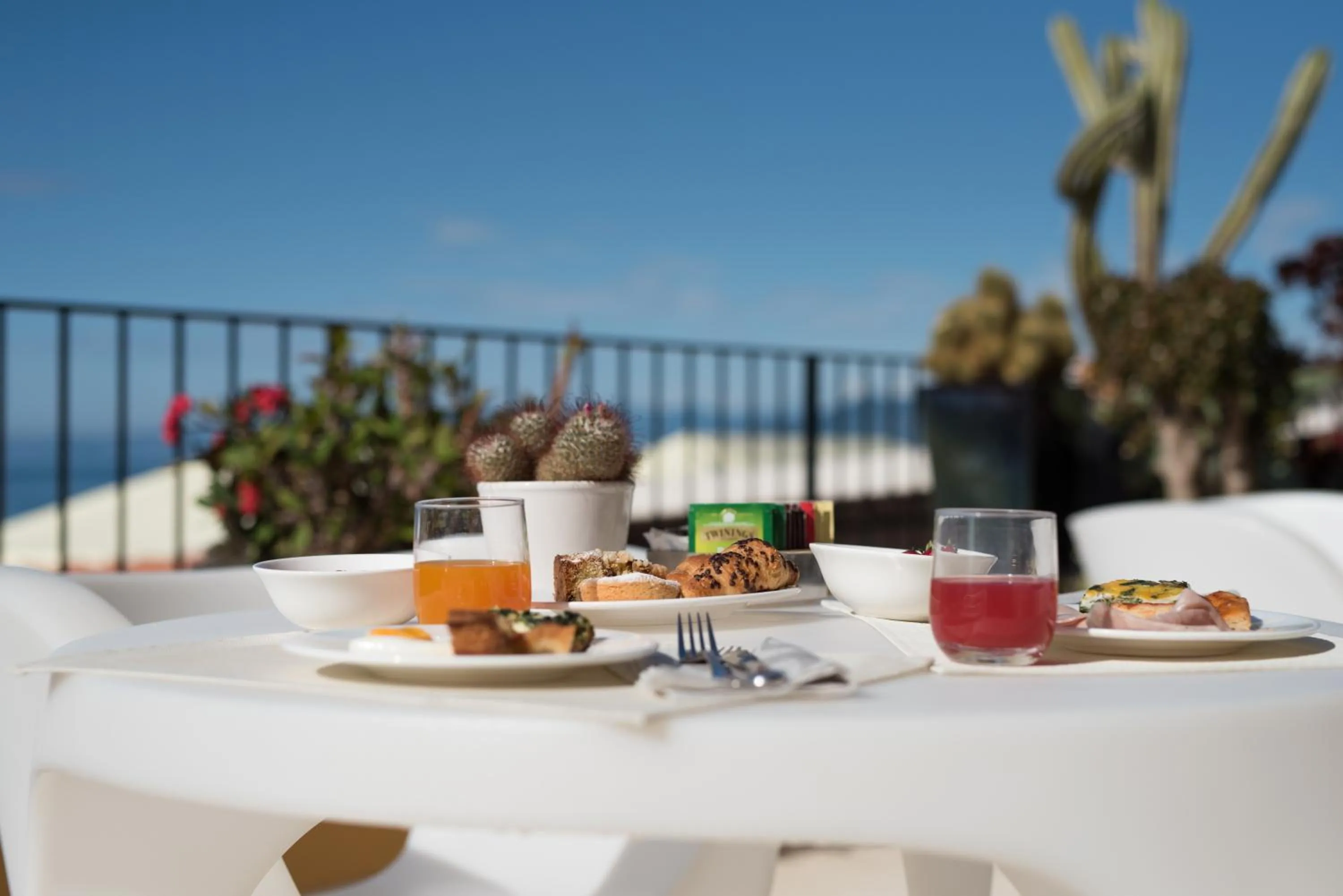 Balcony/Terrace in Hotel Albatros Varigotti