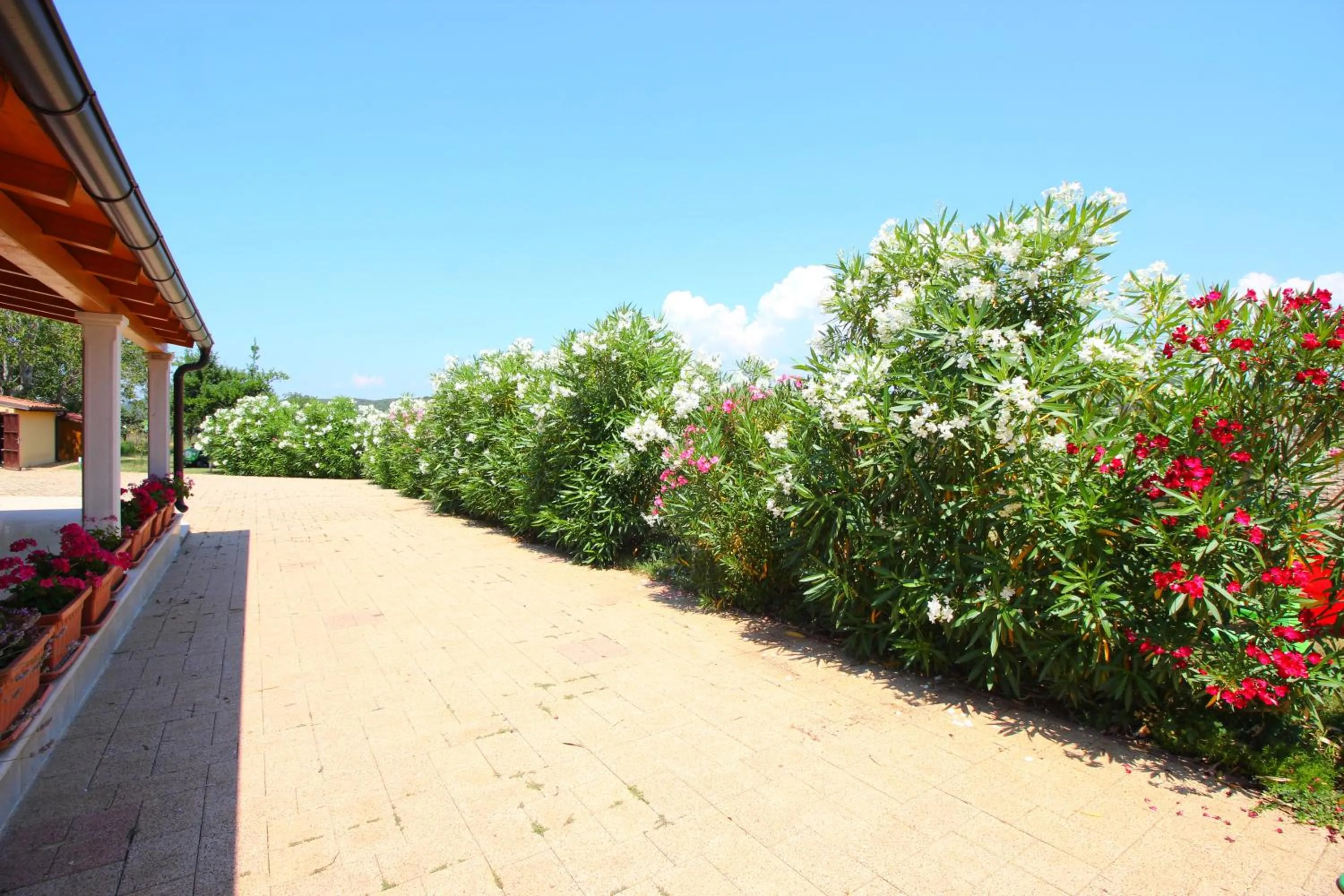 Property building in Holiday Home Valmoneda