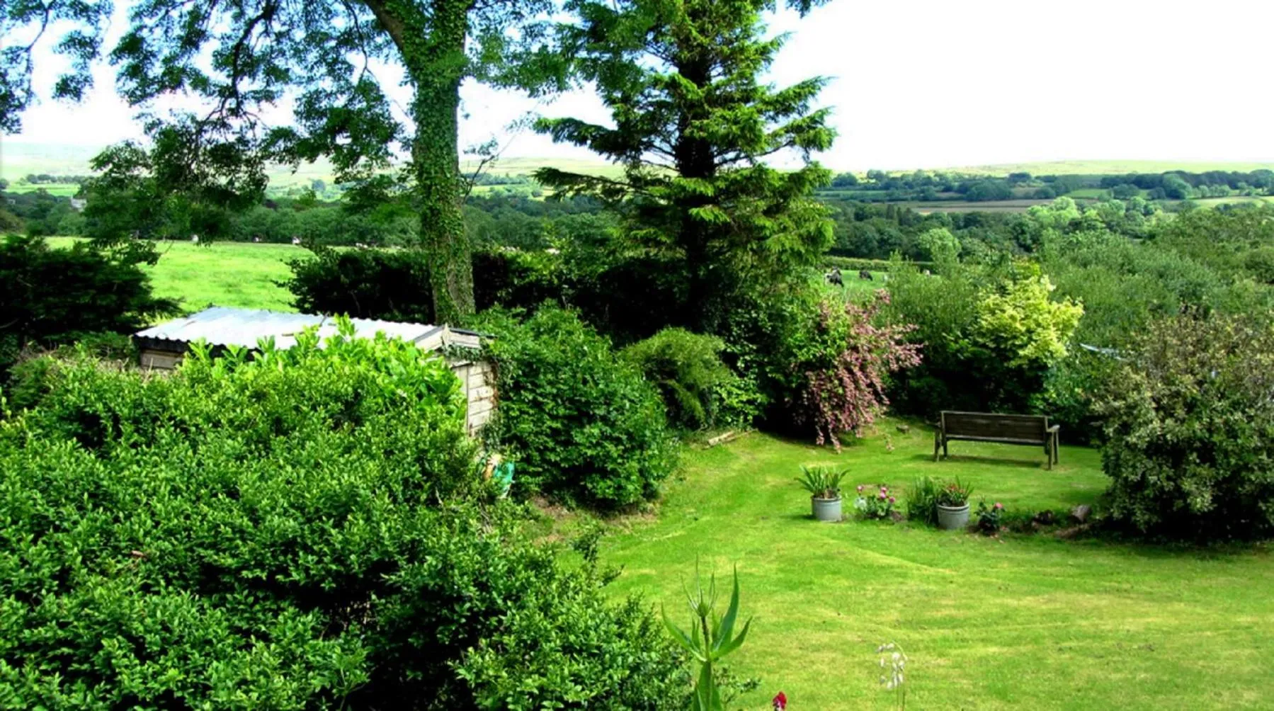 Natural landscape in Heathergate Cottage Dartmoor BnB