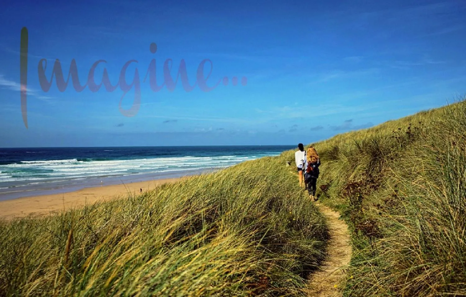 Natural landscape in Heathergate Cottage Dartmoor BnB