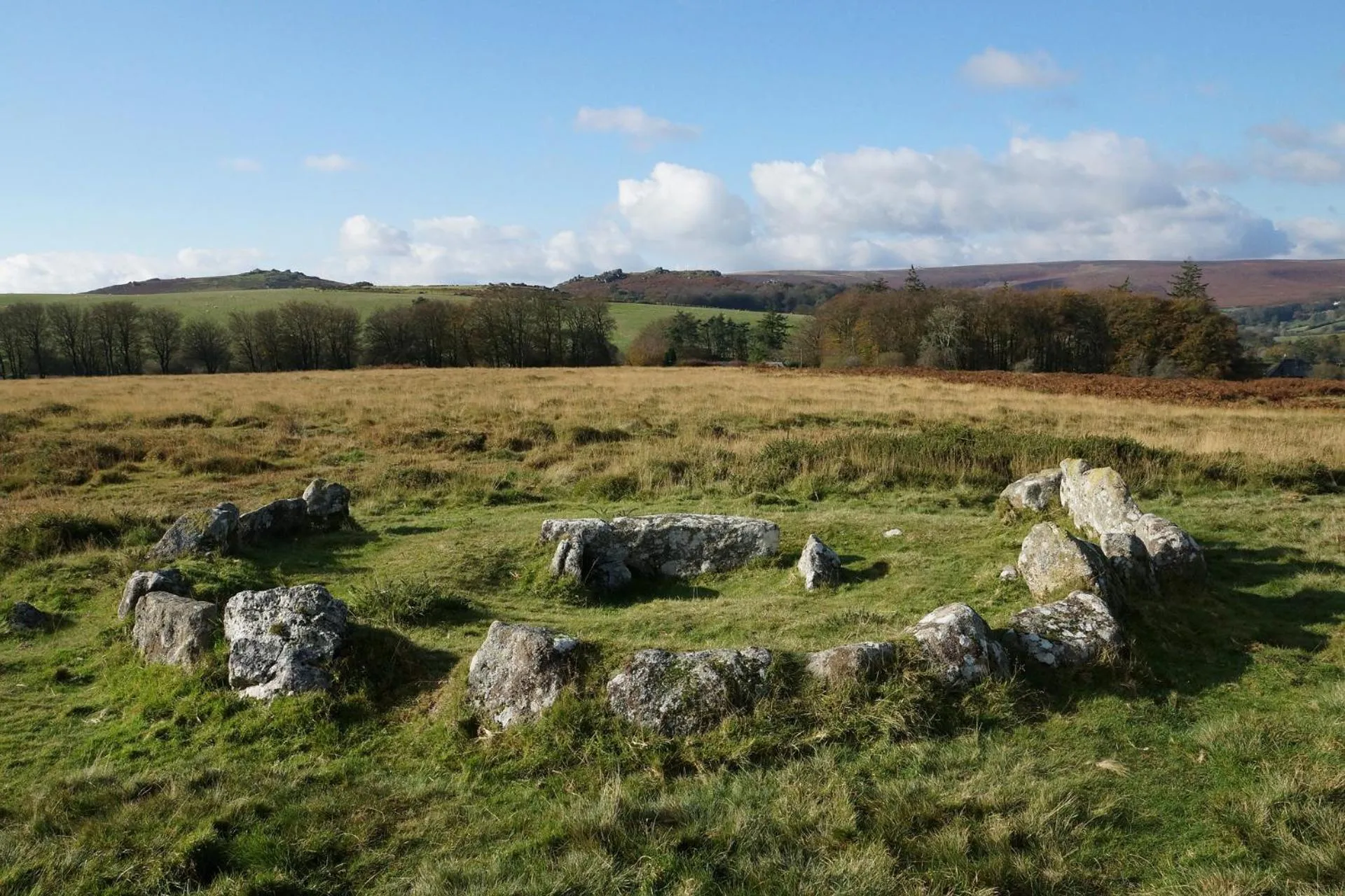 Natural landscape in Heathergate Cottage Dartmoor BnB