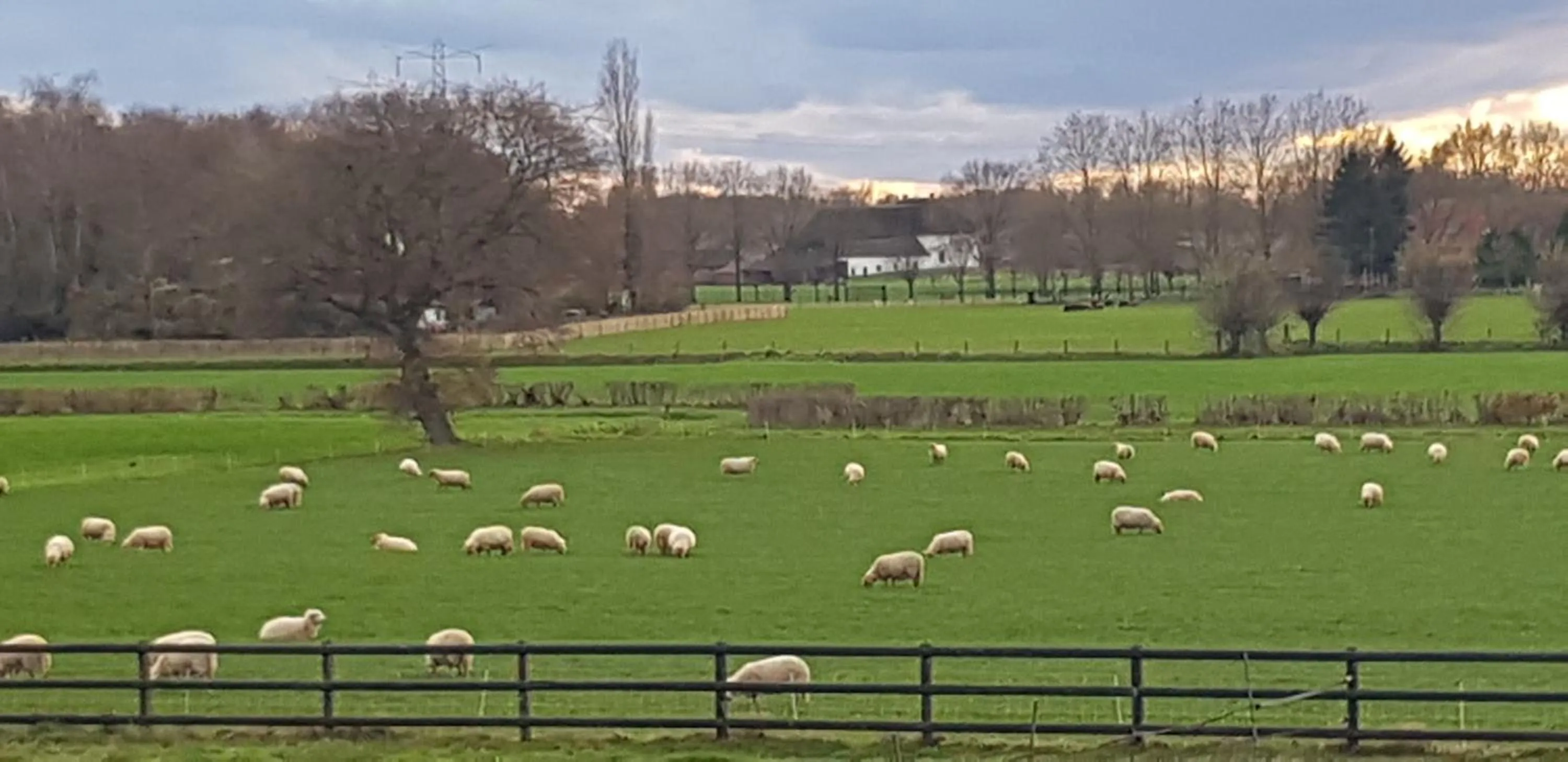 Natural landscape in B&B Farmhouse De Loksheuvel