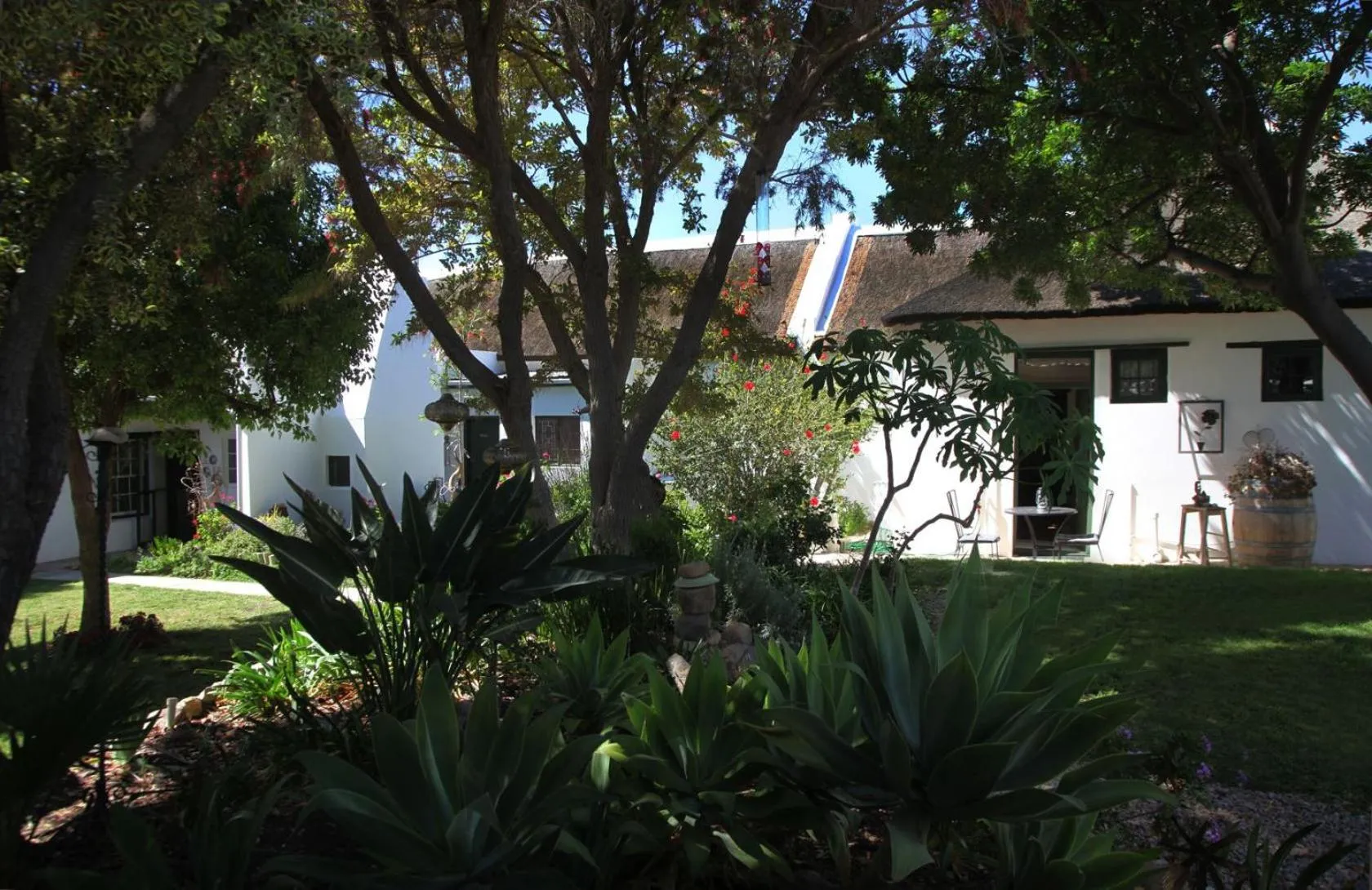 Garden in Onse Rus Guesthouse