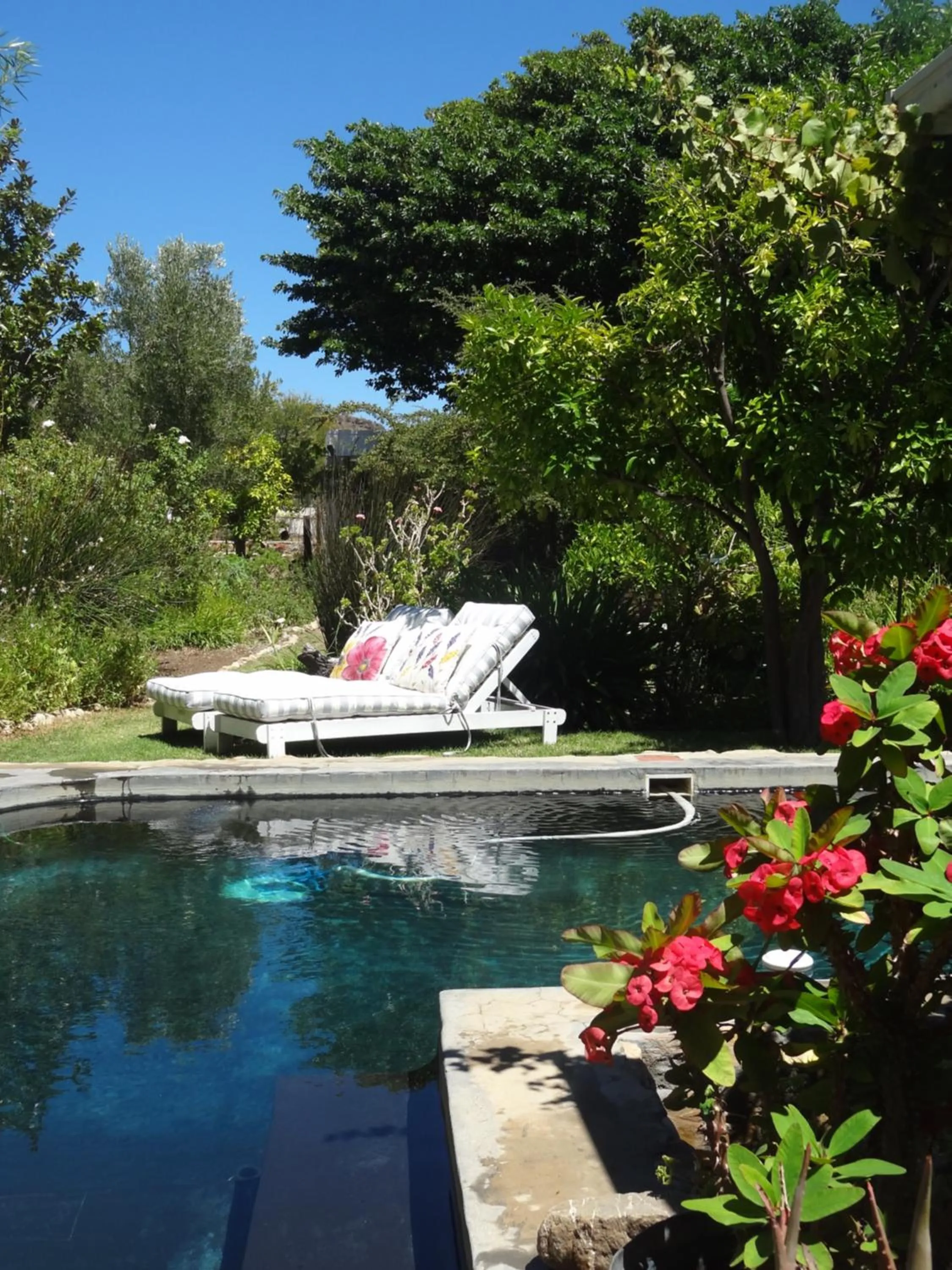 Swimming pool in Onse Rus Guesthouse