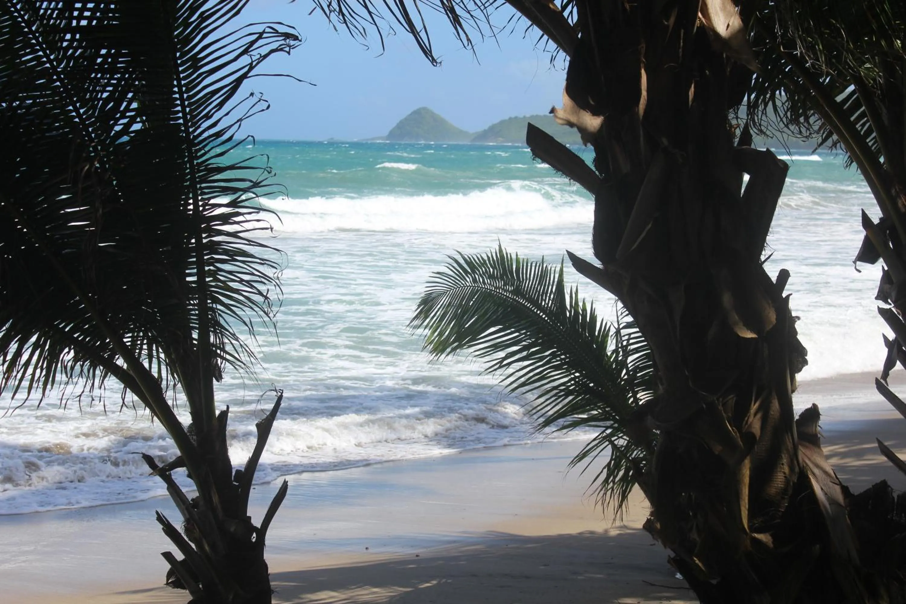 Beach in Petite Anse Hotel