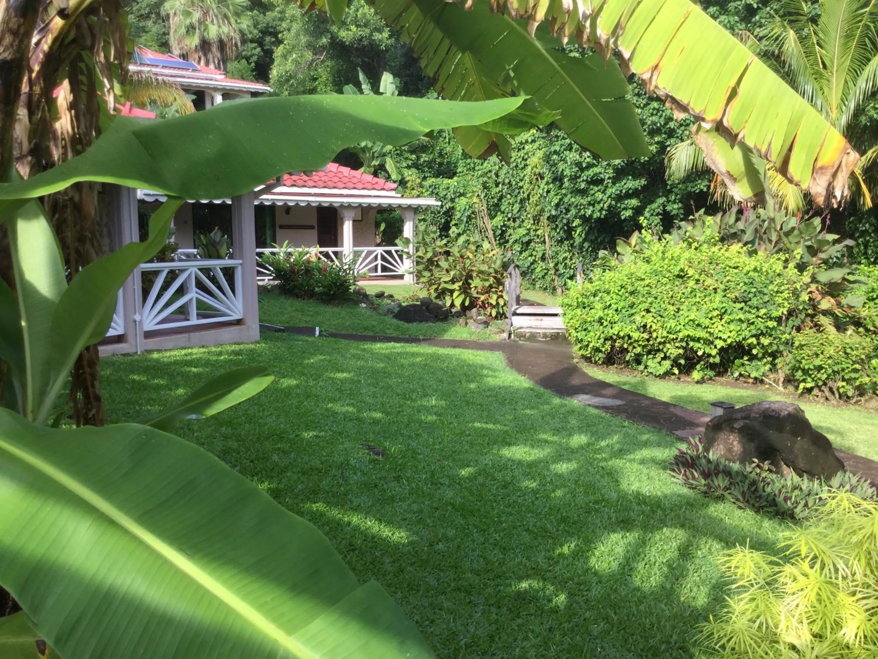 Garden in Petite Anse Hotel