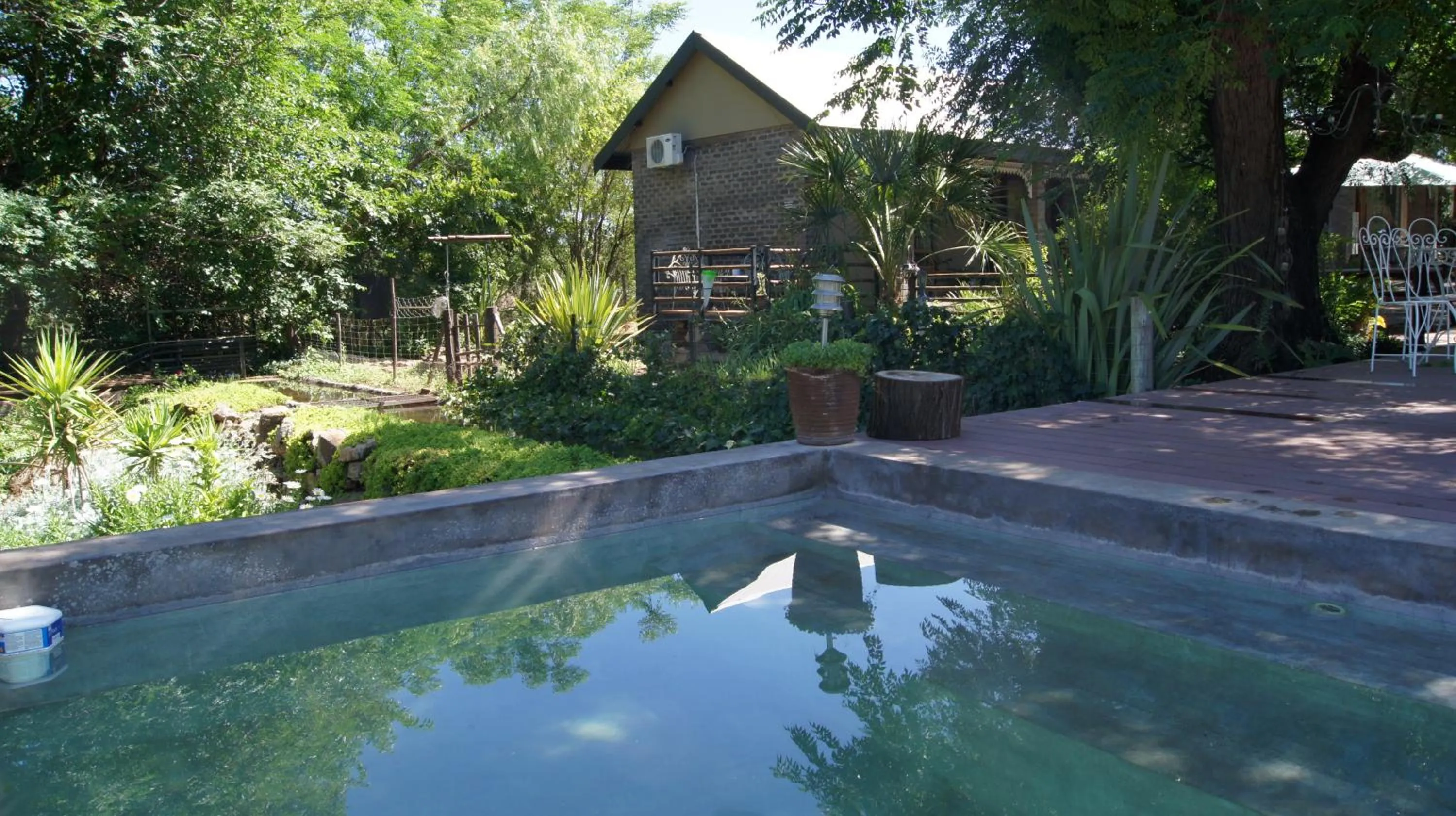 Swimming pool in Cunningham Cottage Guest House