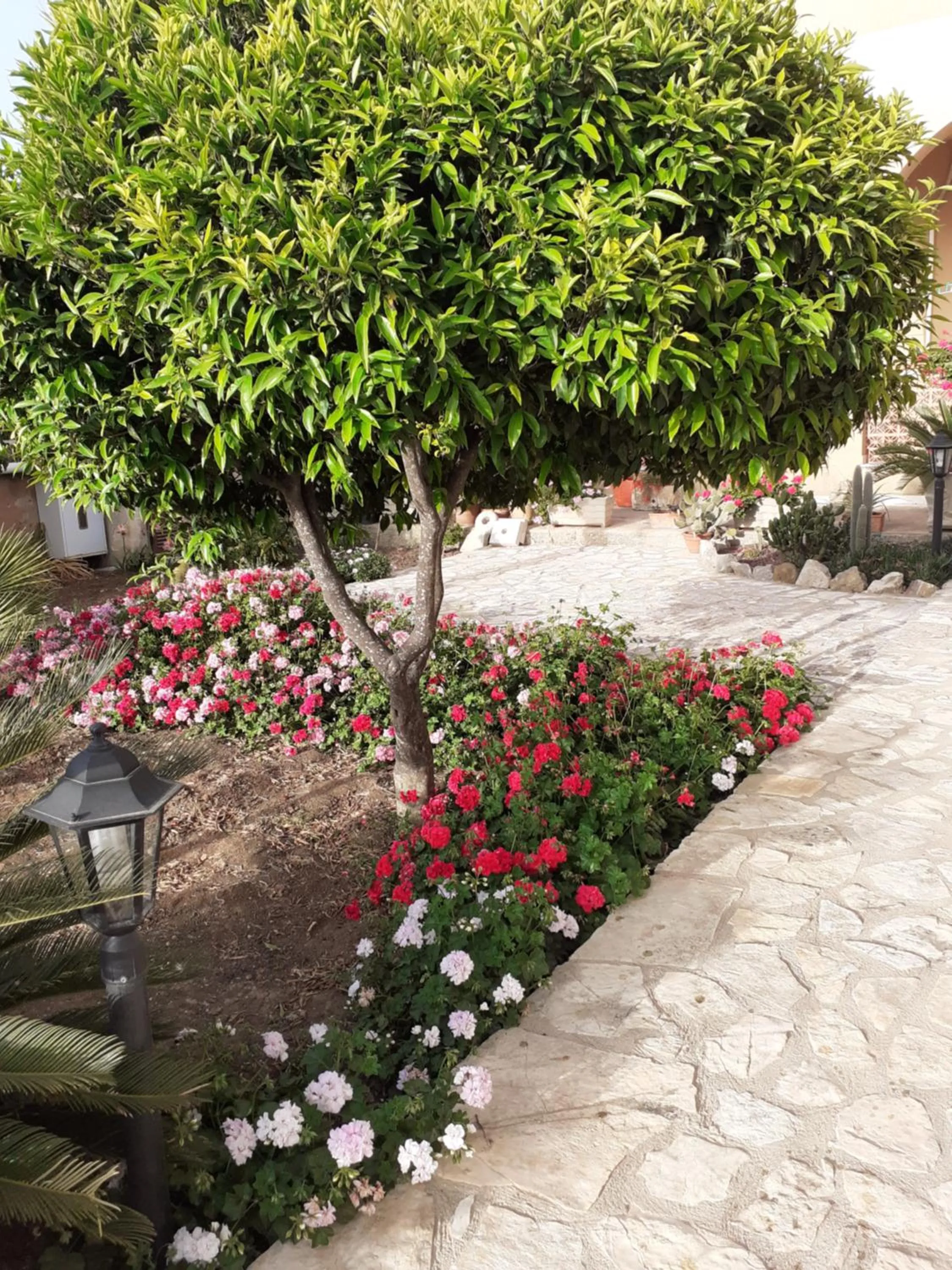 Garden in Baglio Messina Vacanze