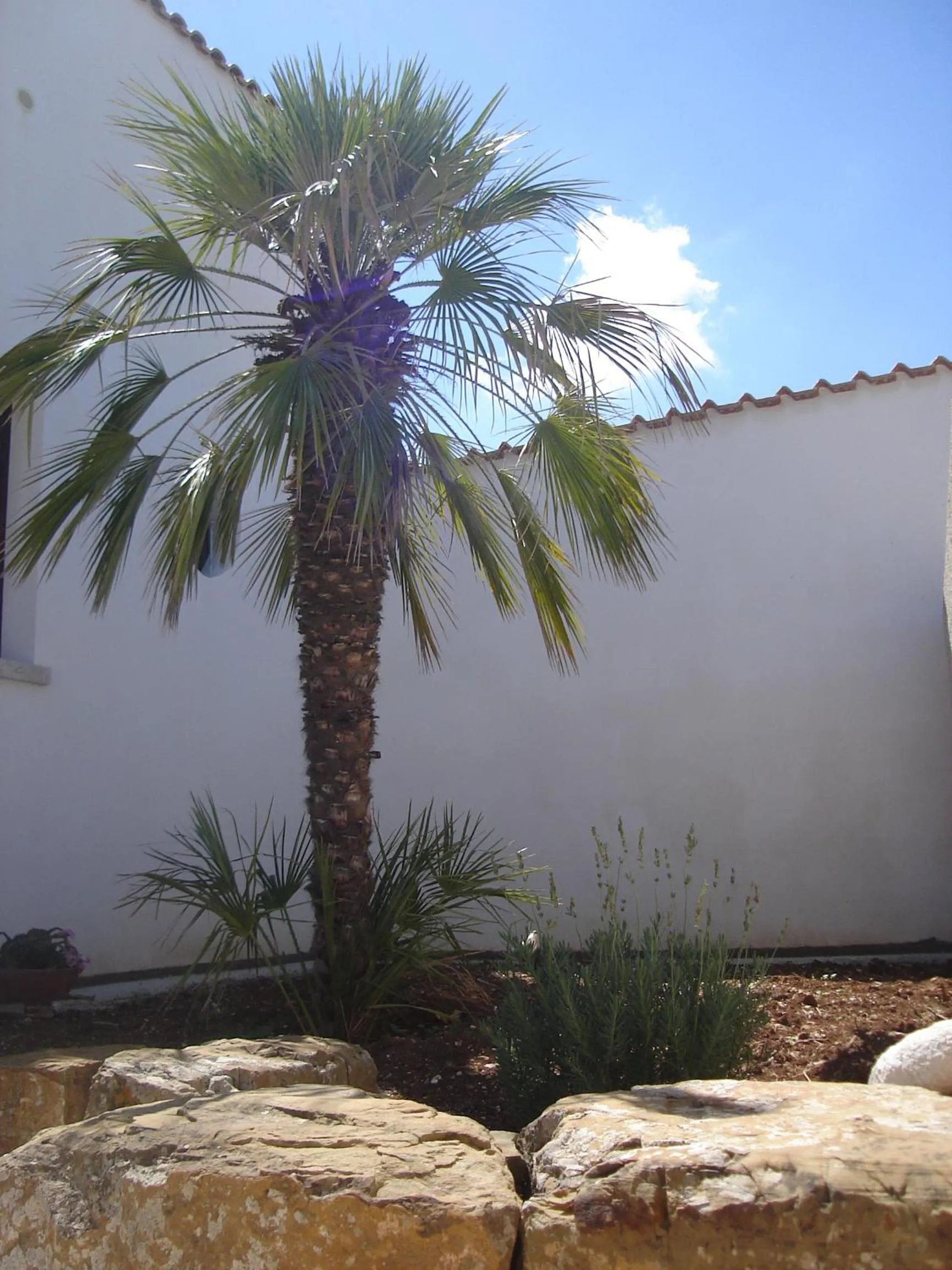Garden view in Baglio Messina Vacanze