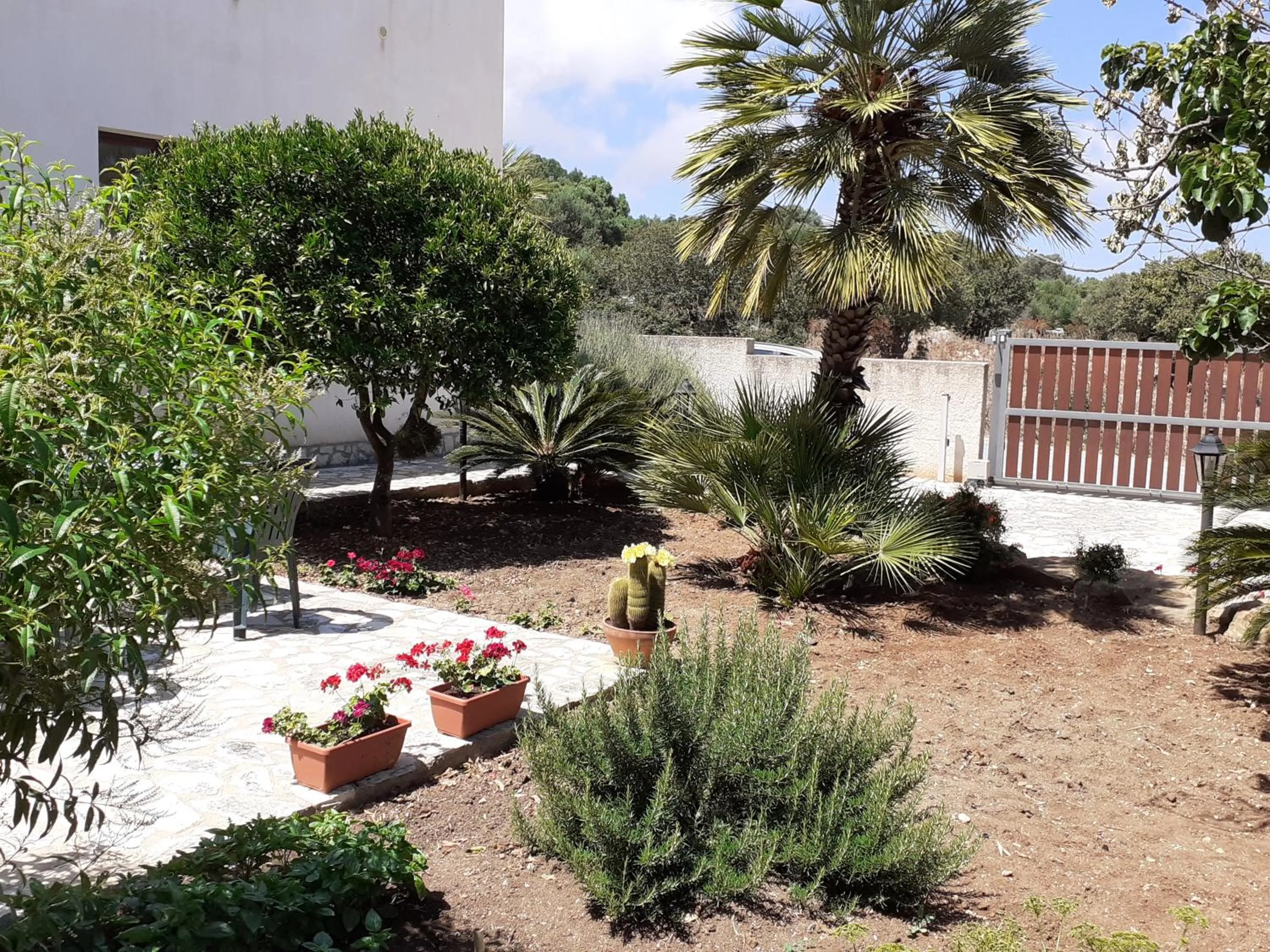 Garden in Baglio Messina Vacanze