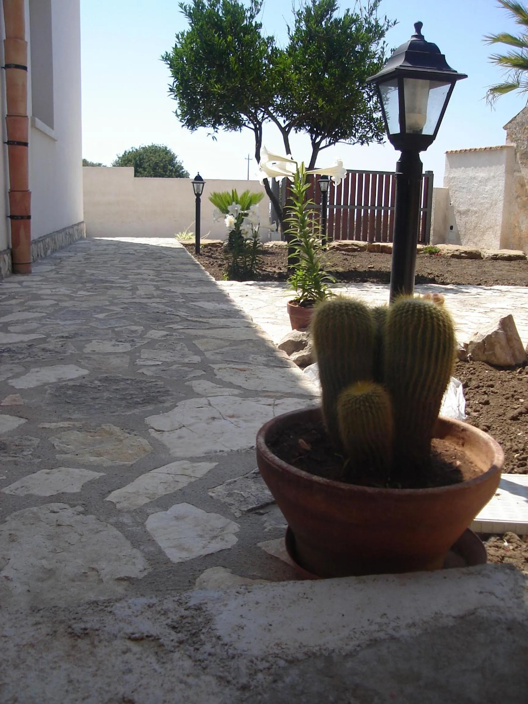 Garden view in Baglio Messina Vacanze