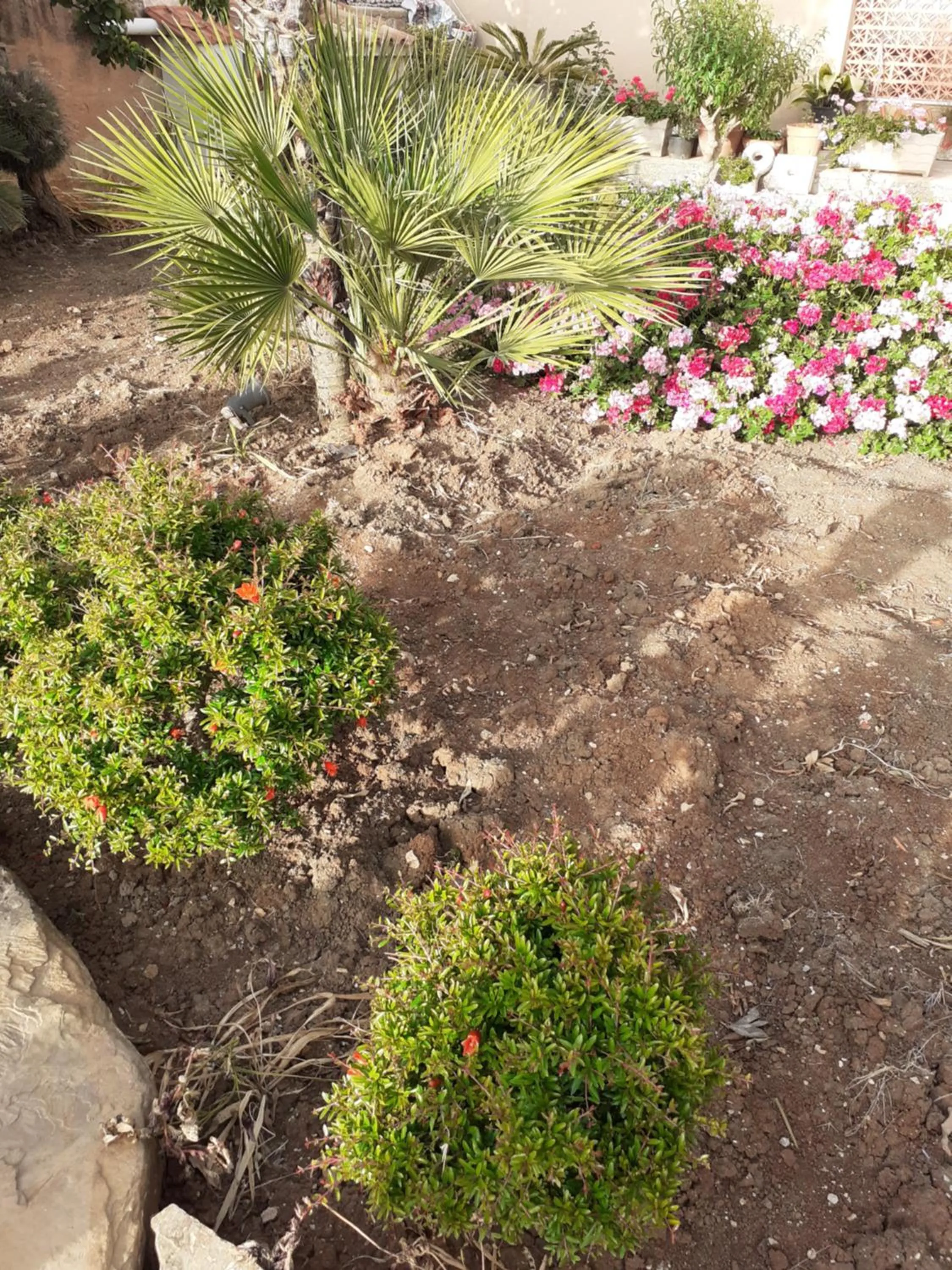Garden in Baglio Messina Vacanze