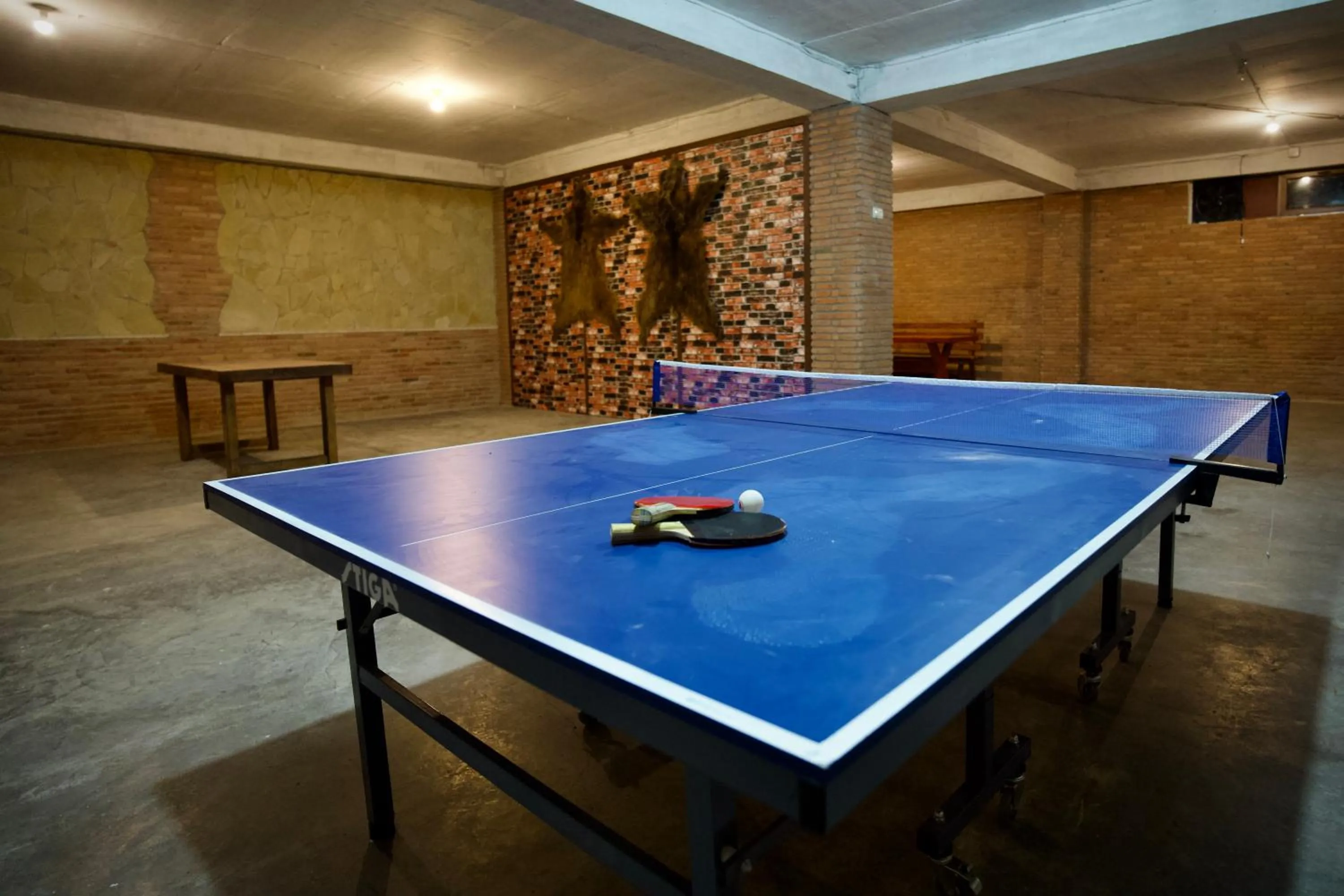 Table tennis in Hotel Mogzauri