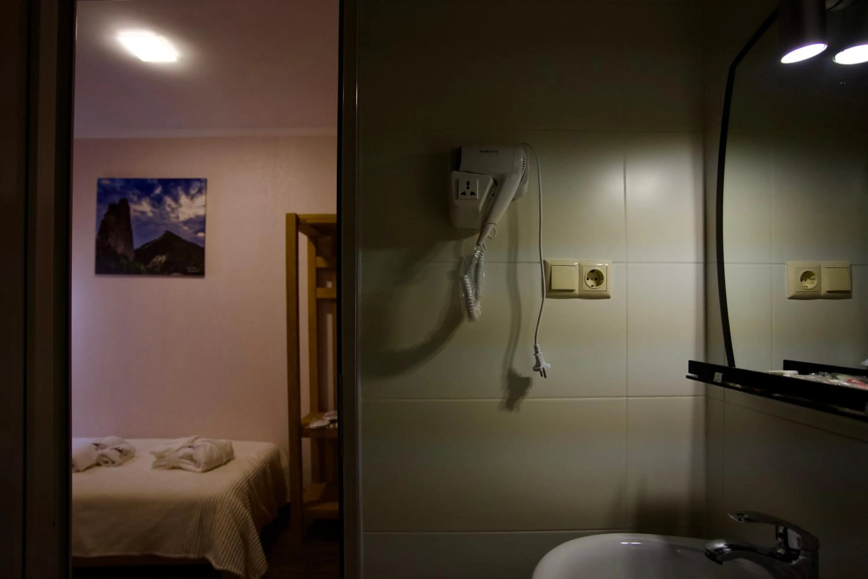 Shower in Hotel Mogzauri