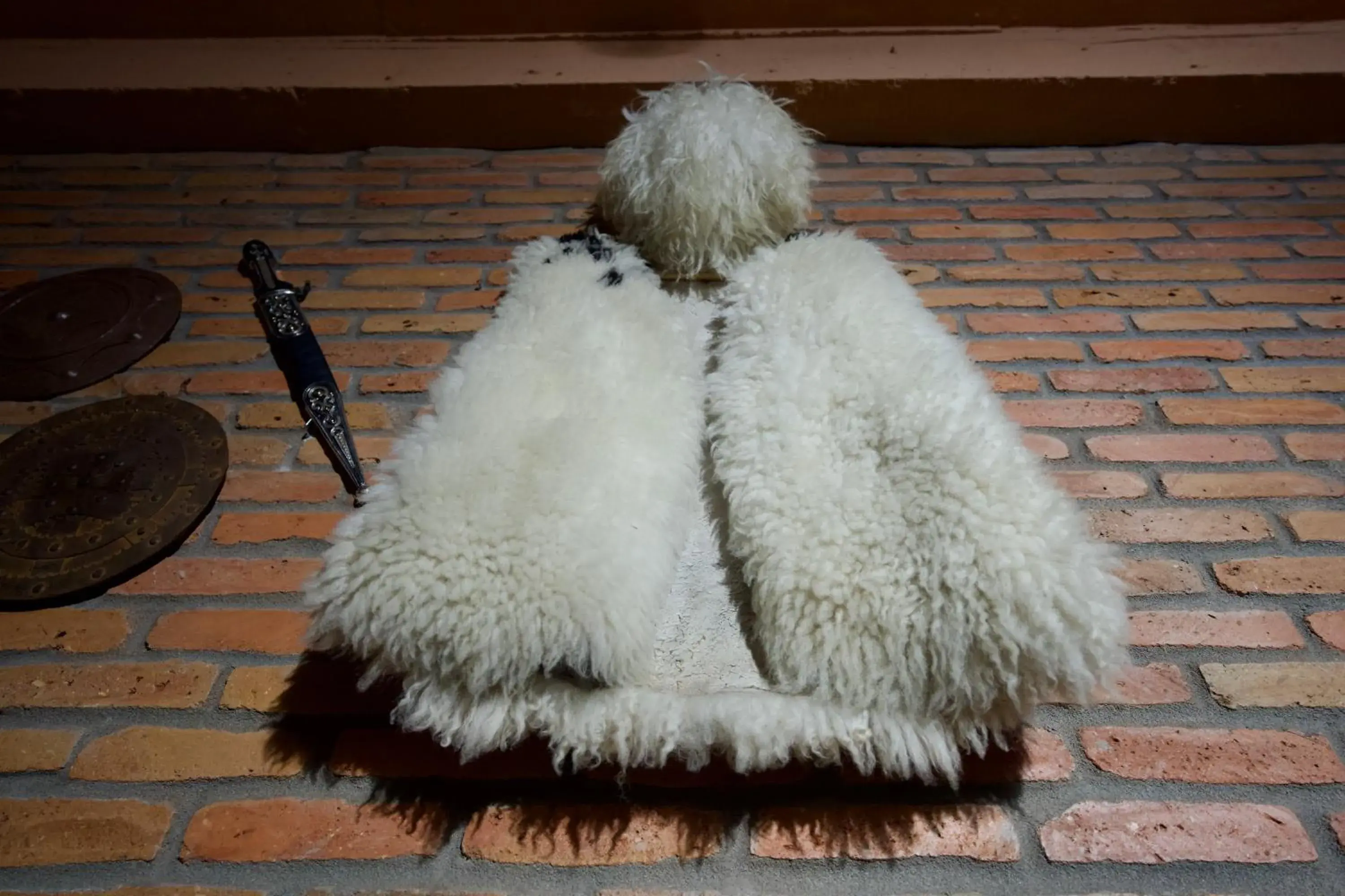 Facade/entrance in Hotel Mogzauri Facade/entrance in Hotel Mogzauri