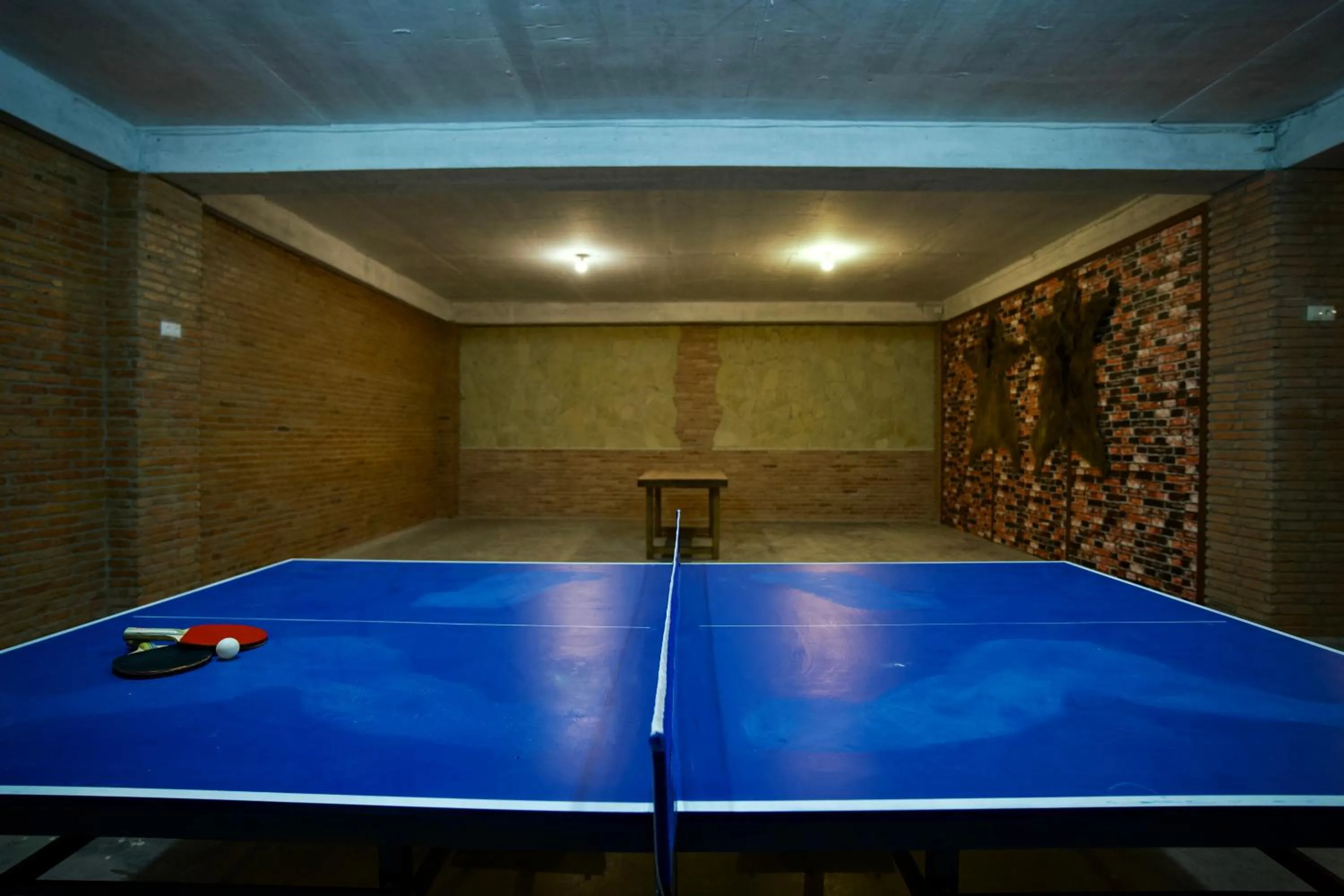 Table tennis in Hotel Mogzauri