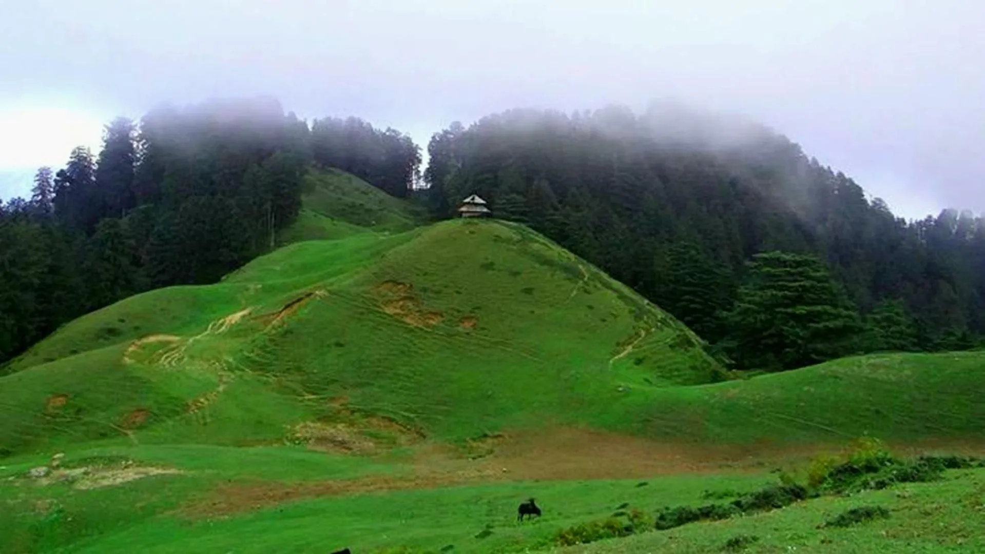 Mountain view in Anurag Hotel