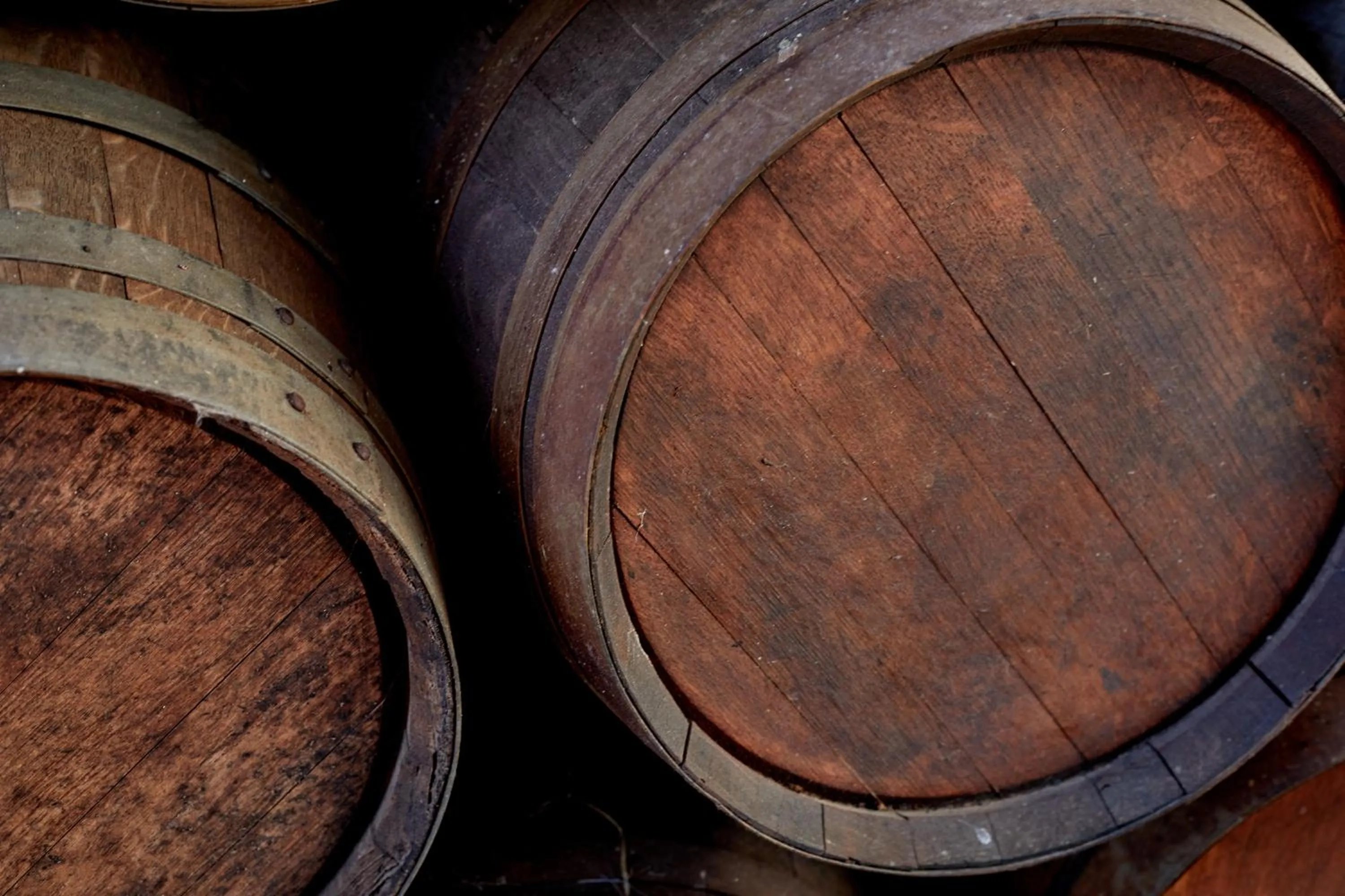 Other in Agroturismo Sa Vinya des Convent