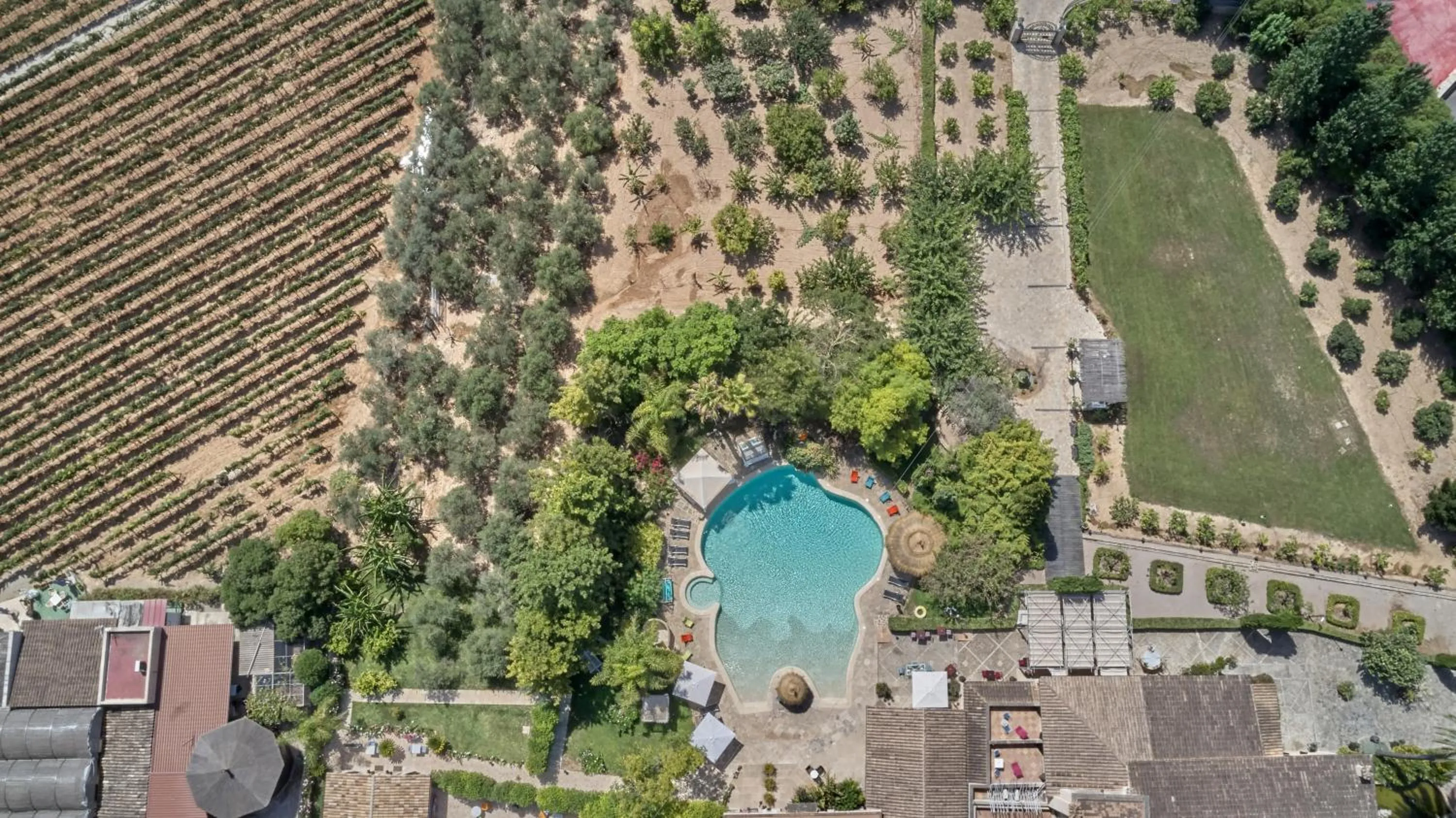 Bird's eye view in Agroturismo Sa Vinya des Convent