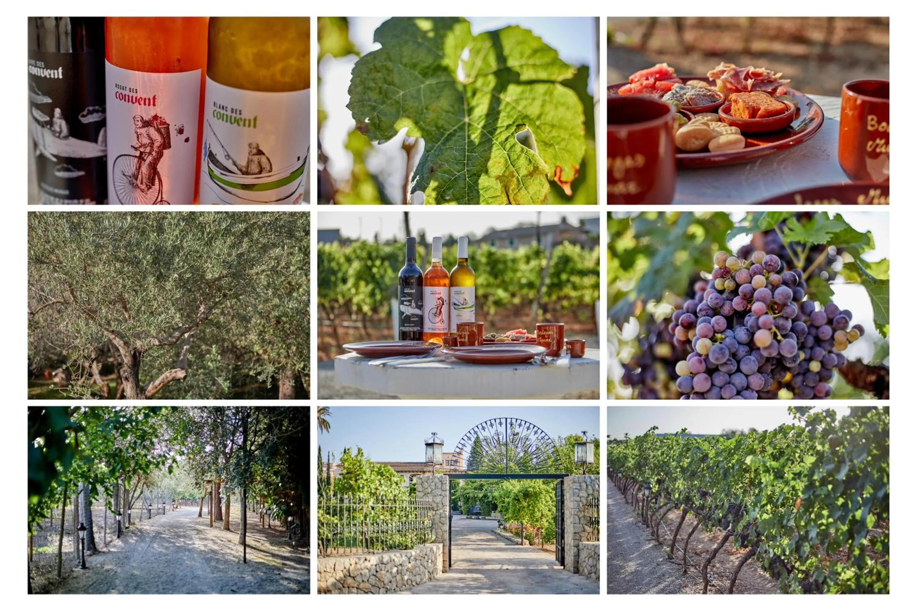 Other in Agroturismo Sa Vinya des Convent