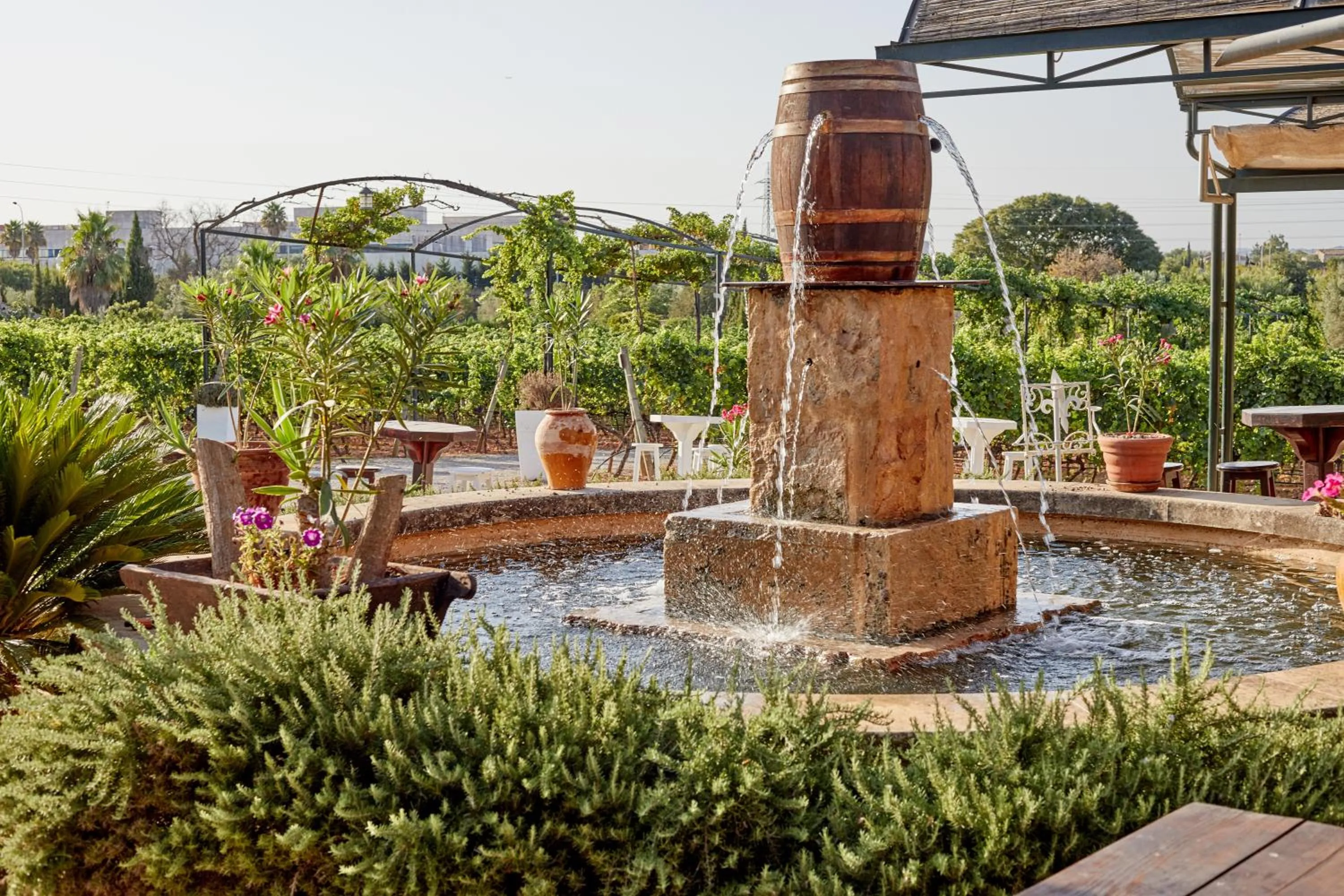 Other in Agroturismo Sa Vinya des Convent