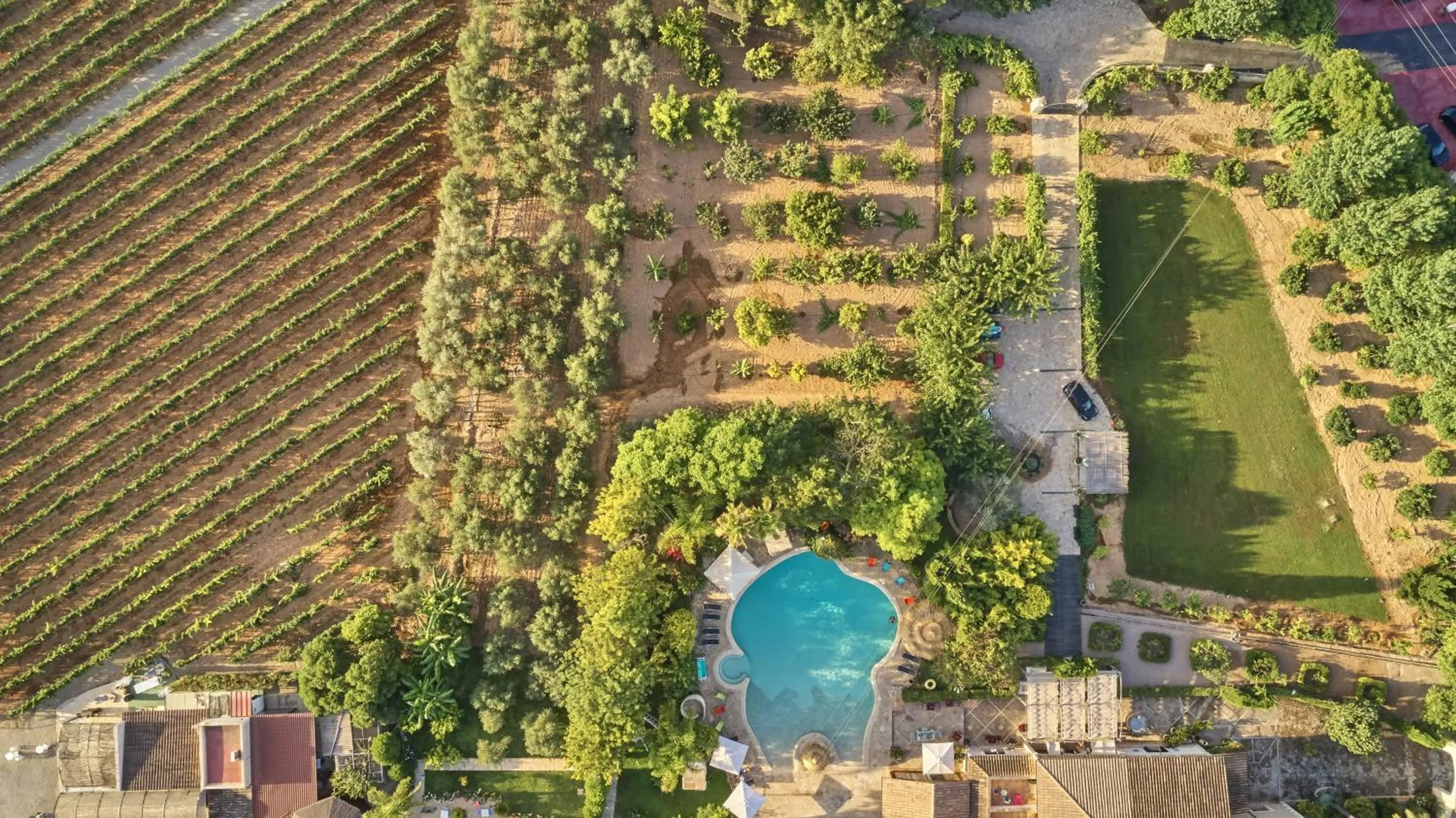 Bird's eye view in Agroturismo Sa Vinya des Convent