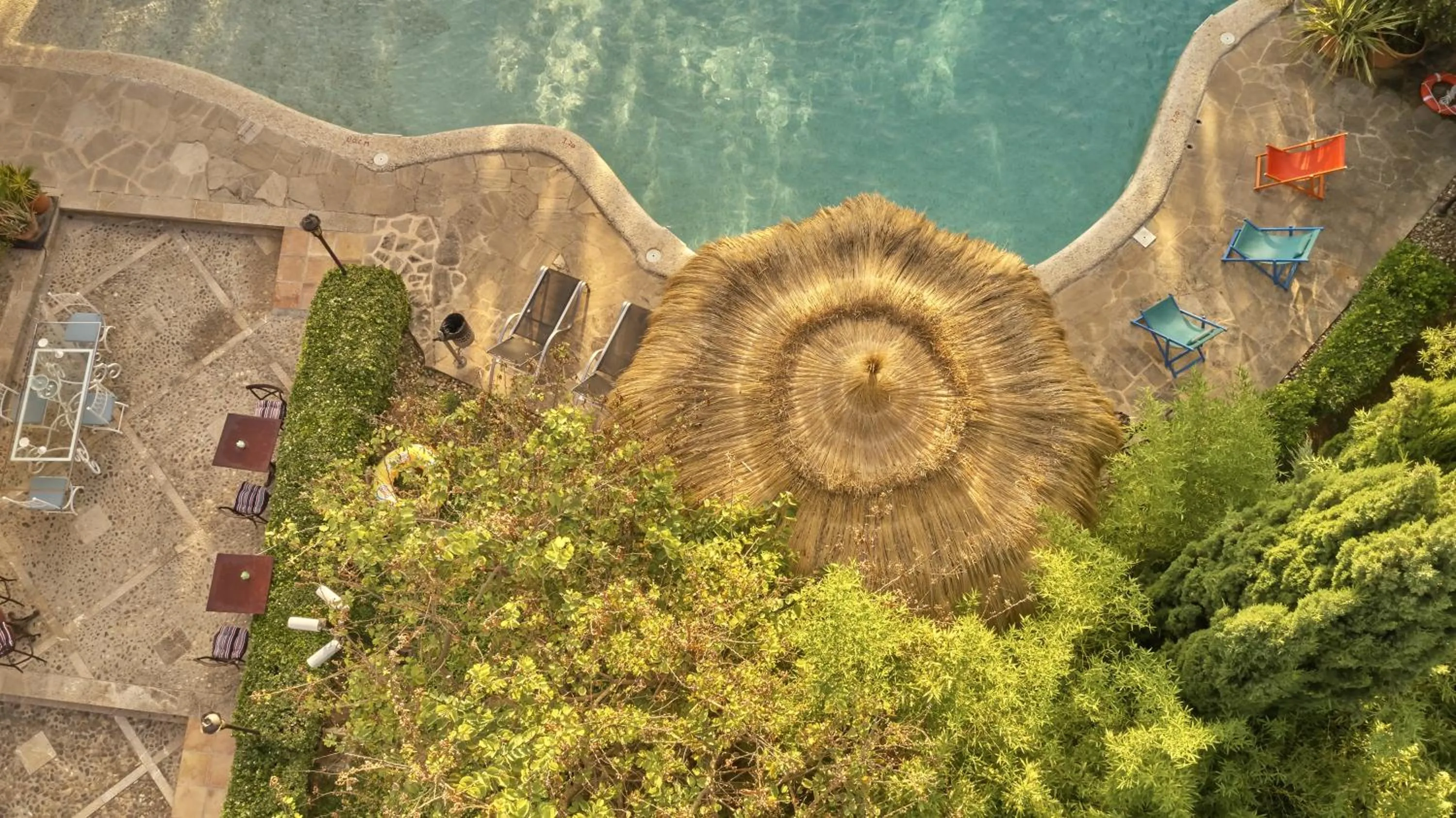 Garden view in Agroturismo Sa Vinya des Convent