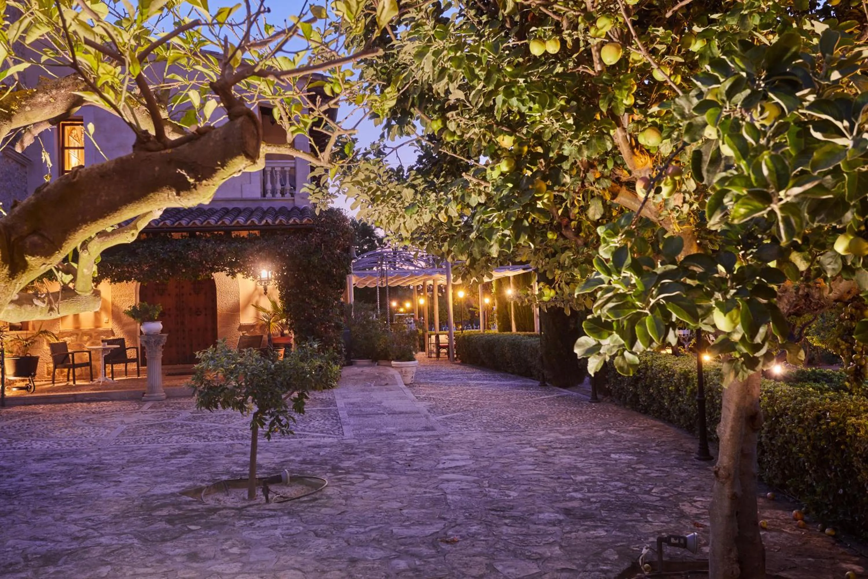 Facade/entrance in Agroturismo Sa Vinya des Convent