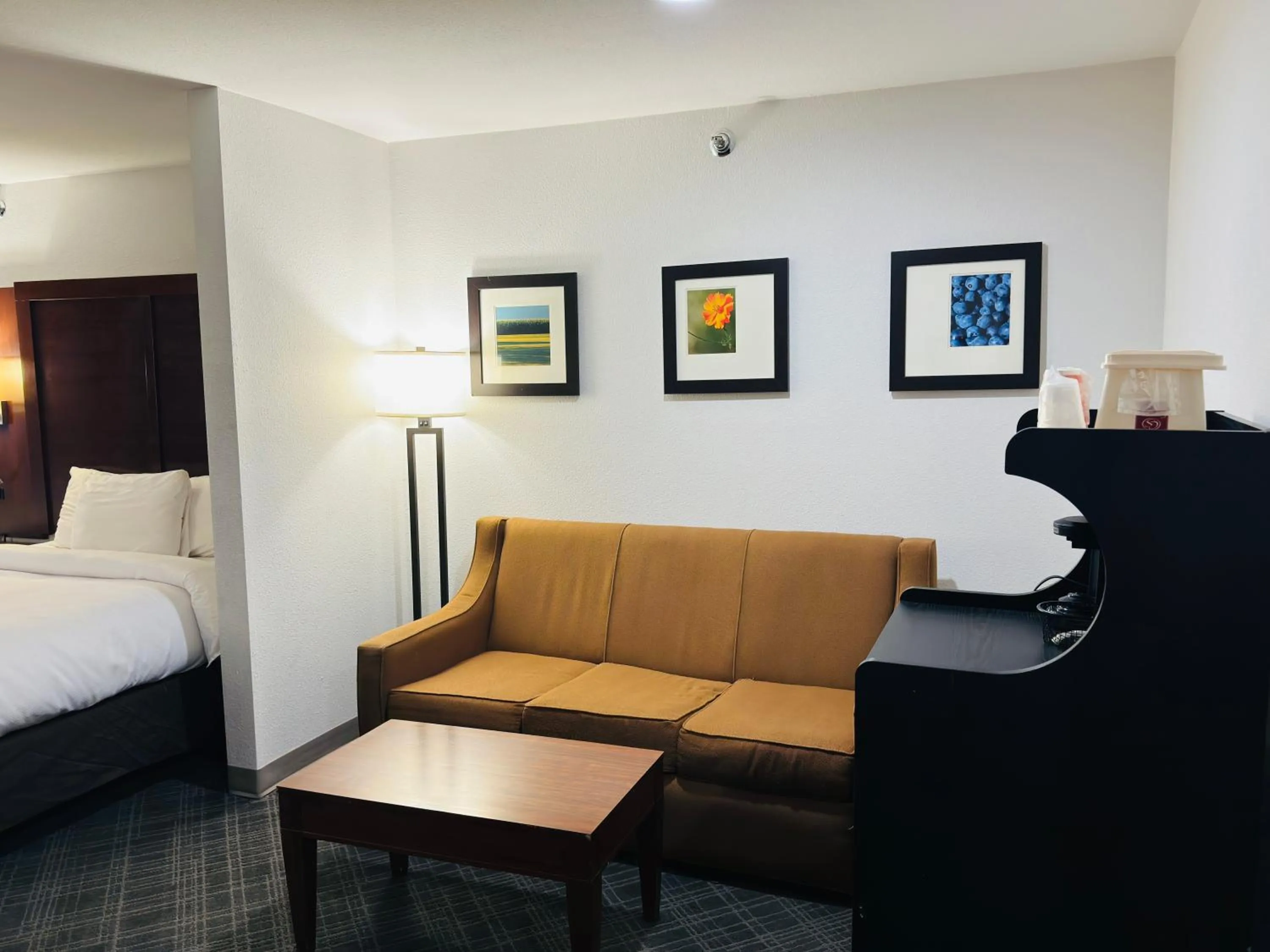 Seating area, Bed in Comfort Suites Plymouth near US-30