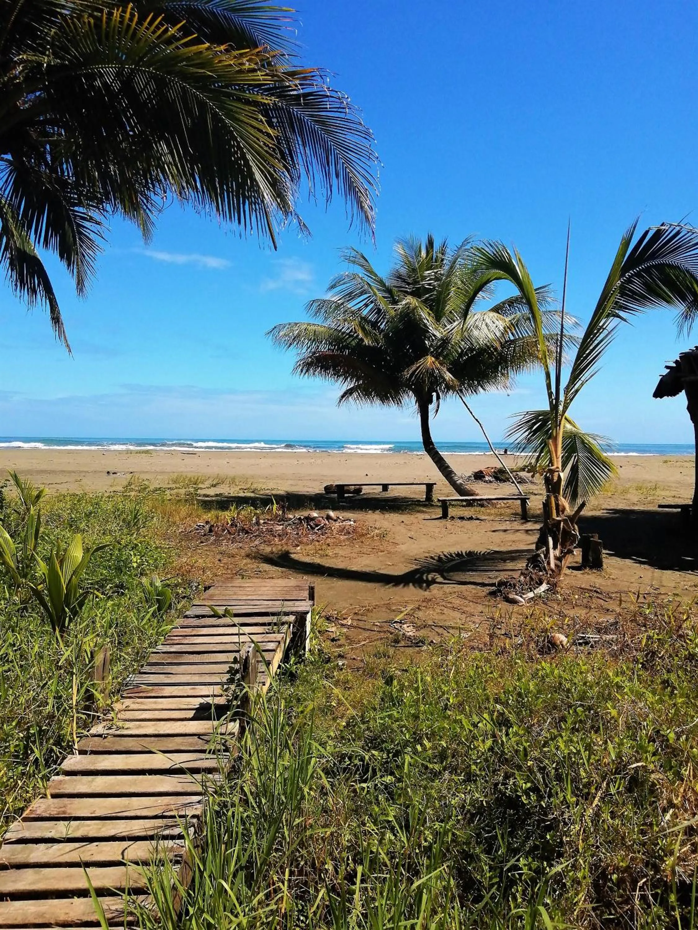 Beach in Hotel Kenaki Lodge