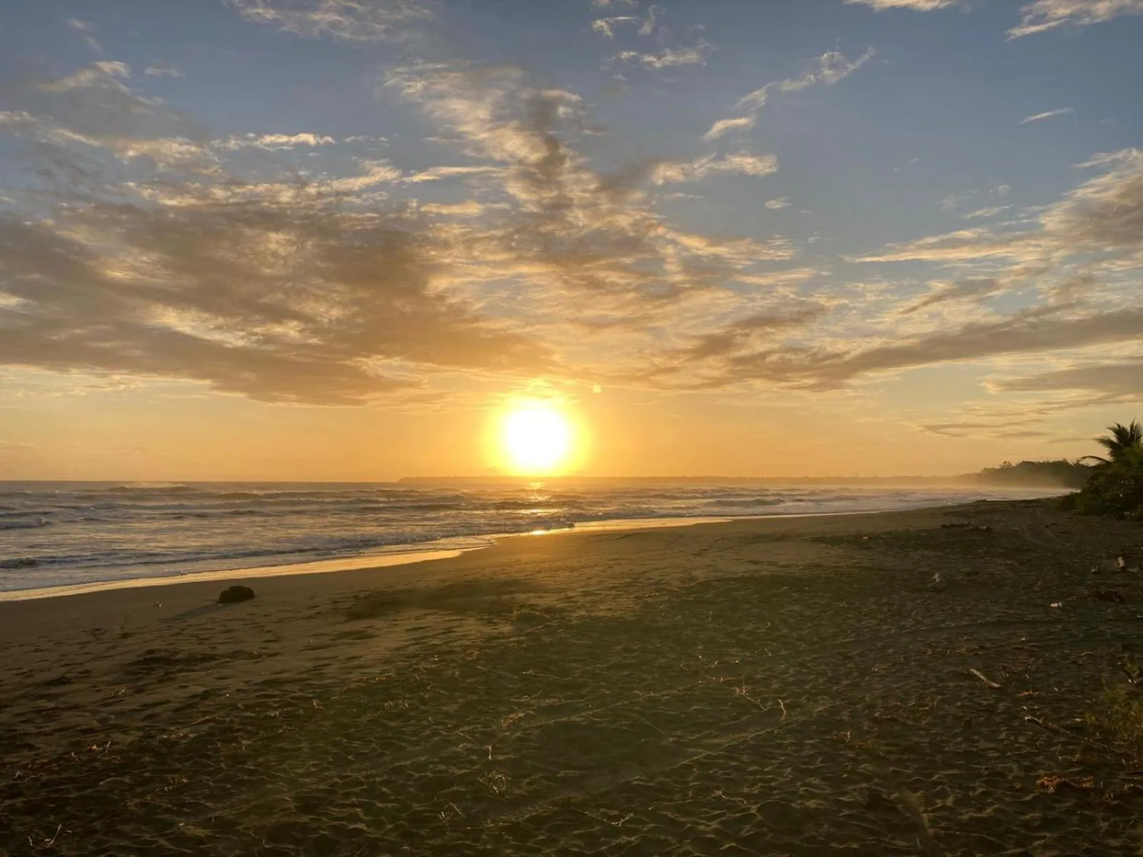 Beach in Hotel Kenaki Lodge