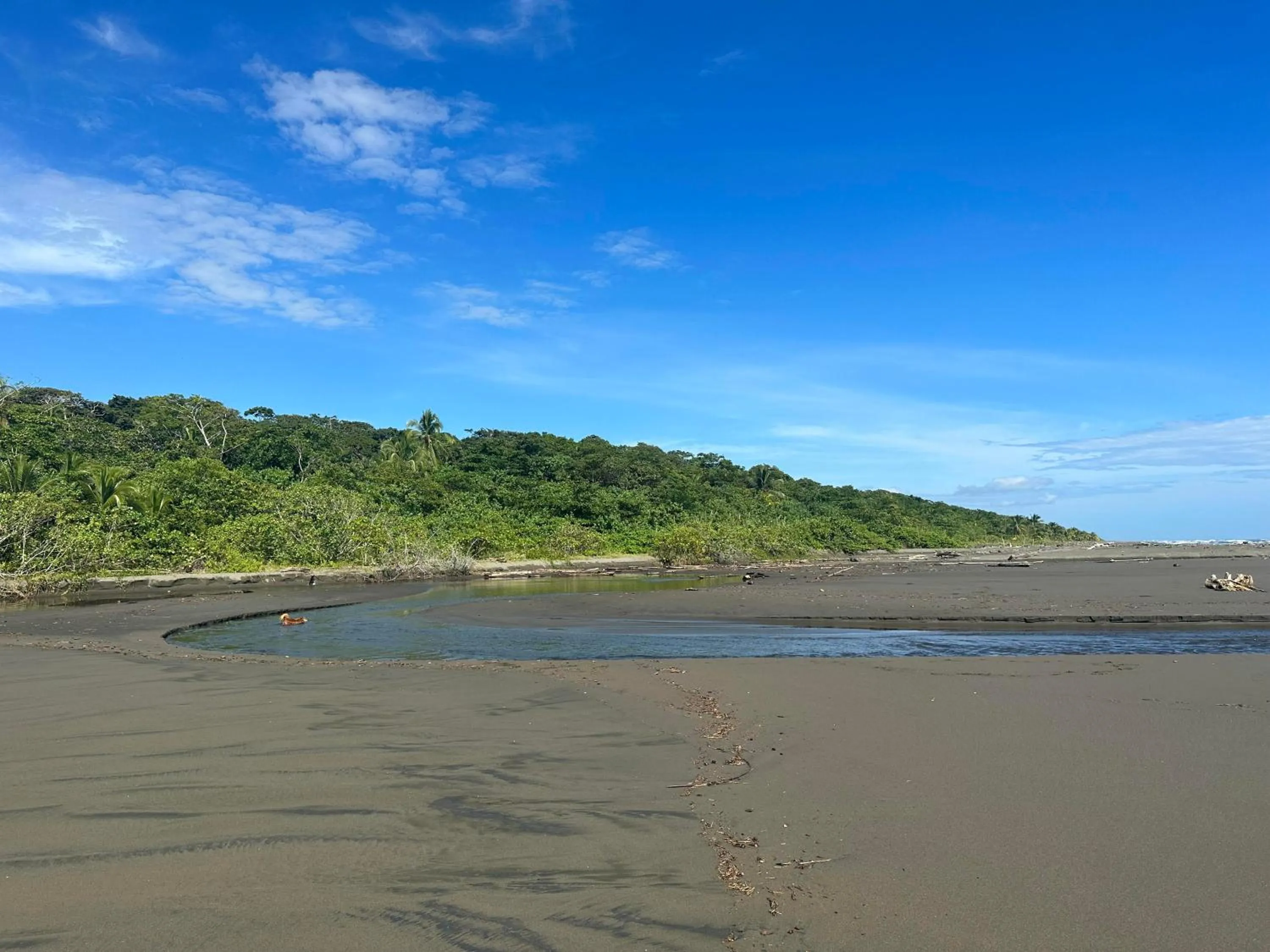 Natural landscape in Hotel Kenaki Lodge