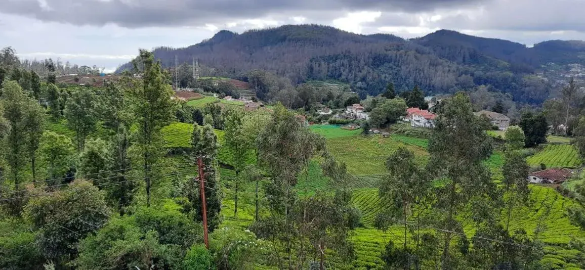 Natural landscape in The Monarch Natural landscape in The Monarch