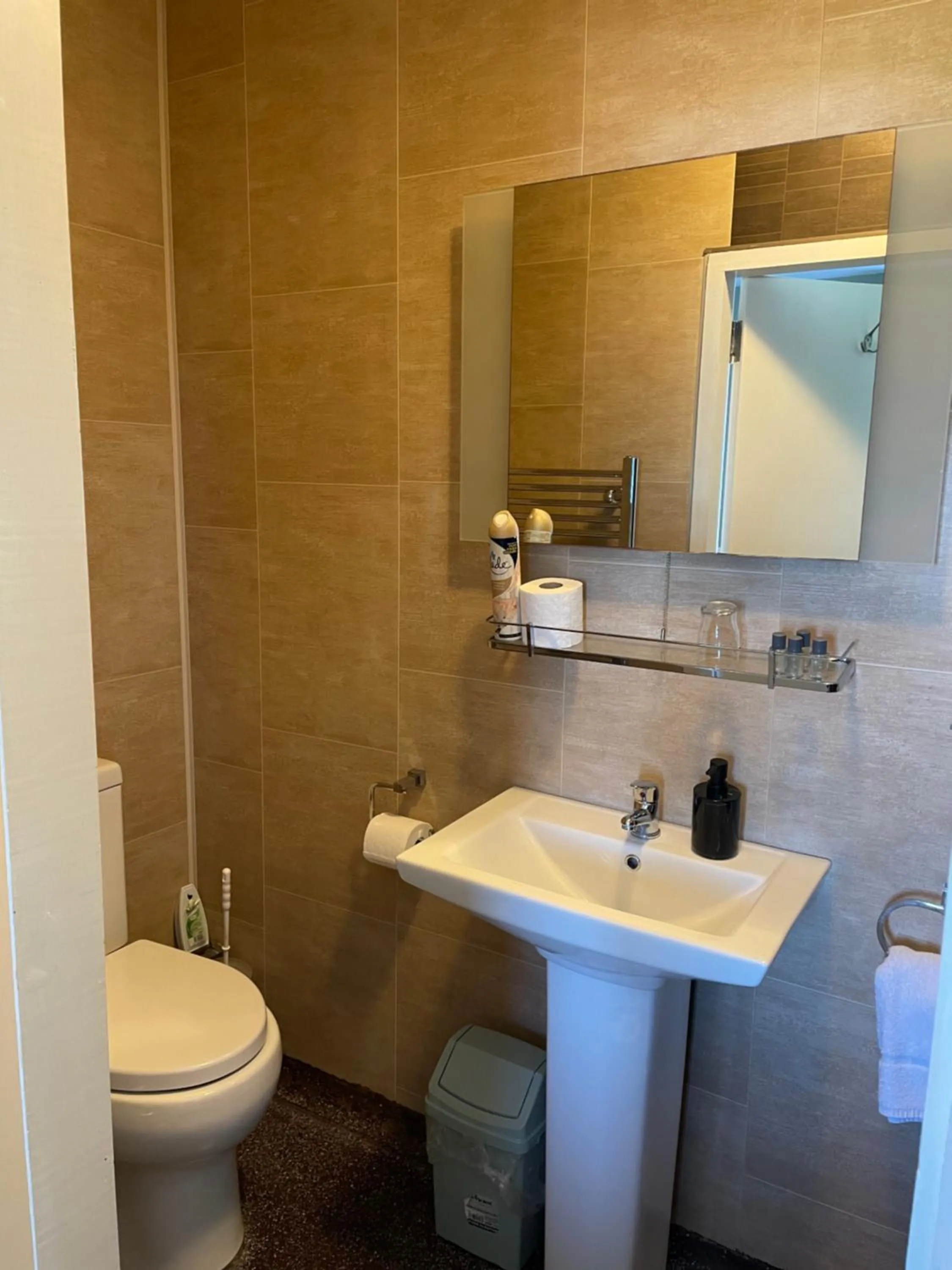 Toilet in The Coastguard House @ Tigh T.P.