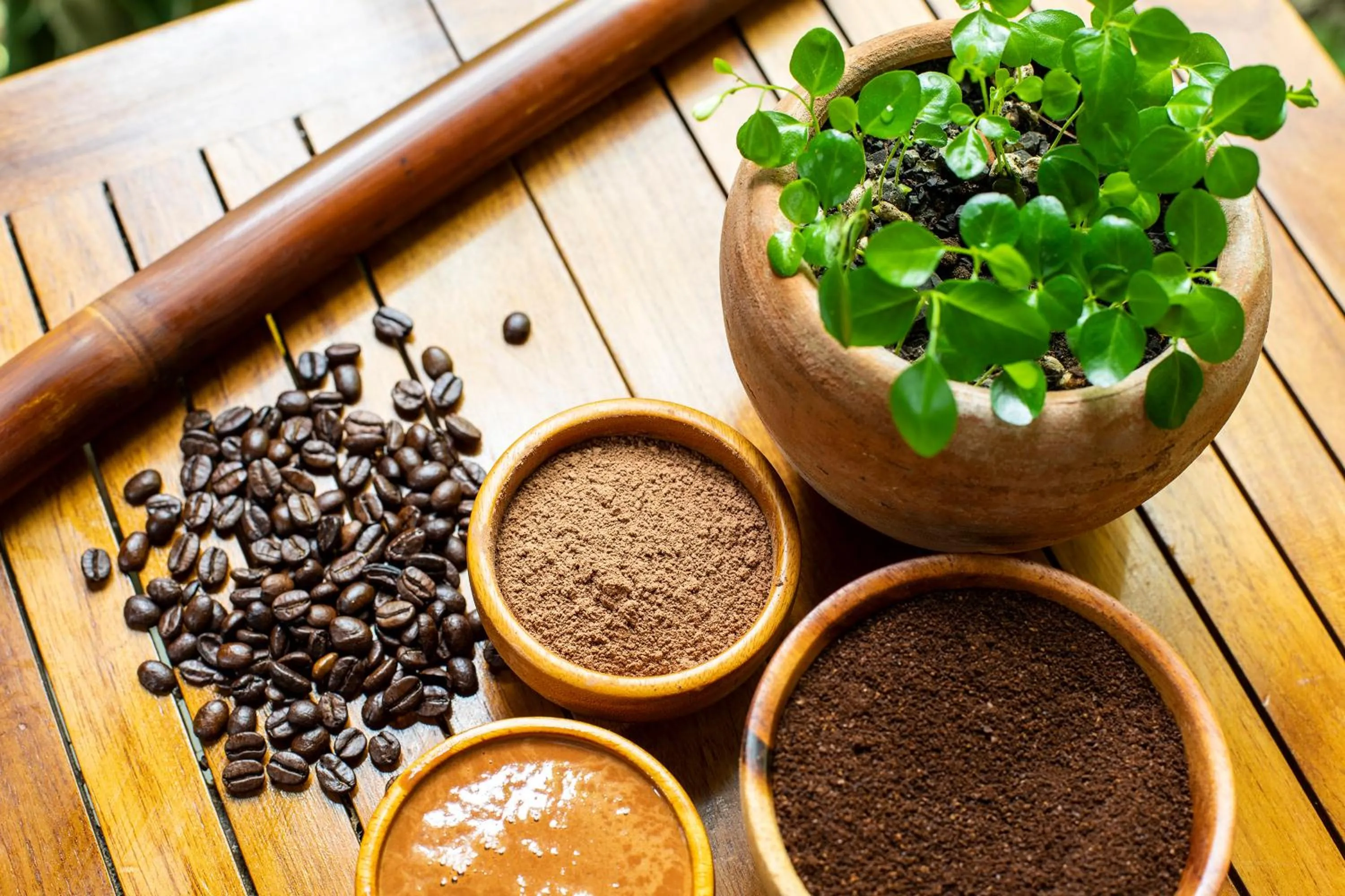 Massage in Bodhi Tree Yoga Resort