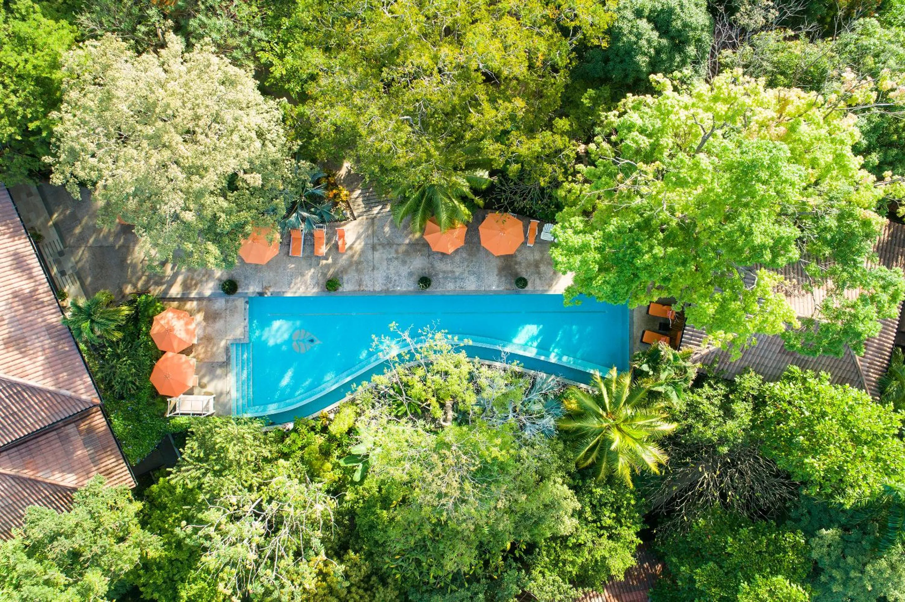 Pool view in Bodhi Tree Yoga Resort