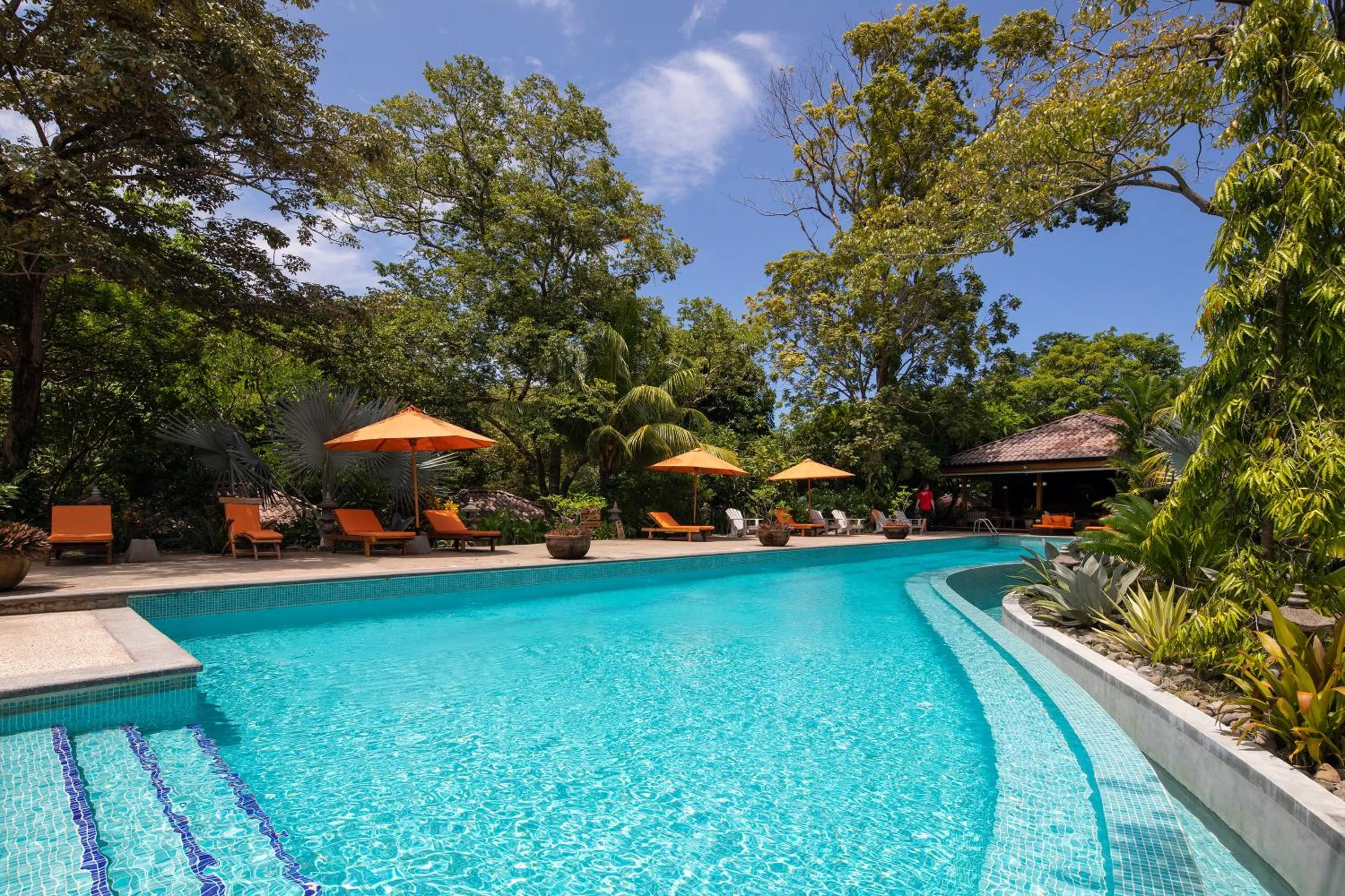 Swimming pool in Bodhi Tree Yoga Resort