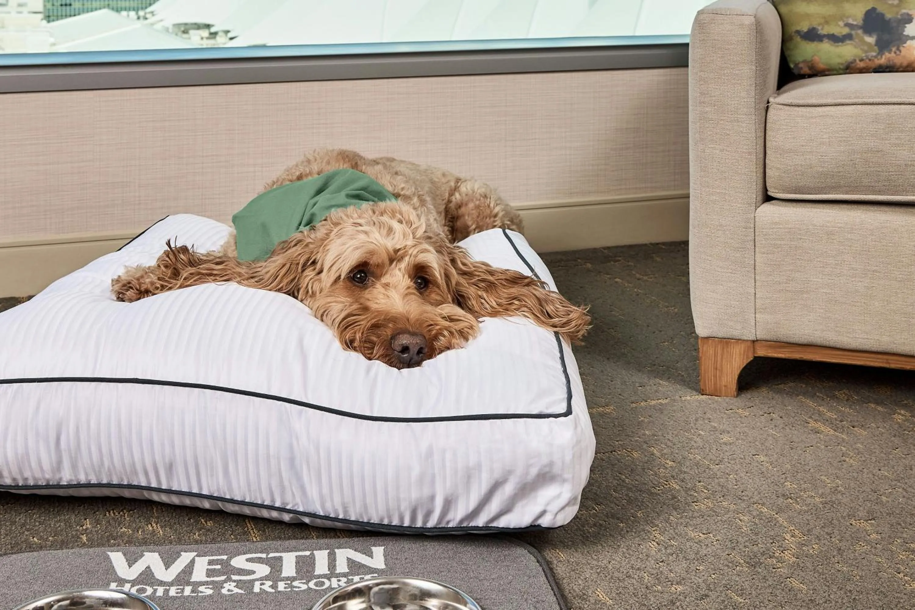 Photo of the whole room in The Westin Denver International Airport