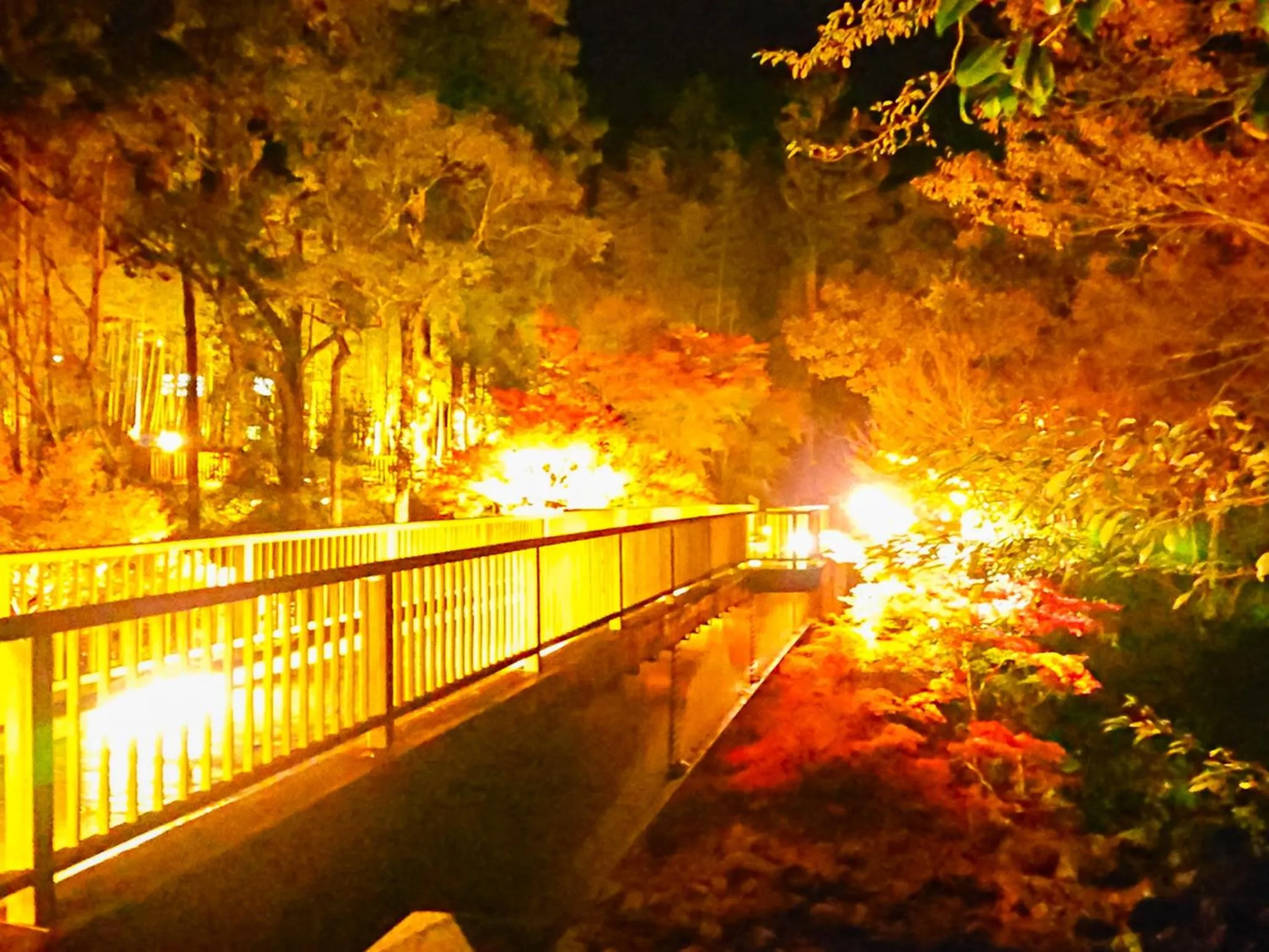 Night in LiVEMAX RESORT Shizuoka Amagiyugashima