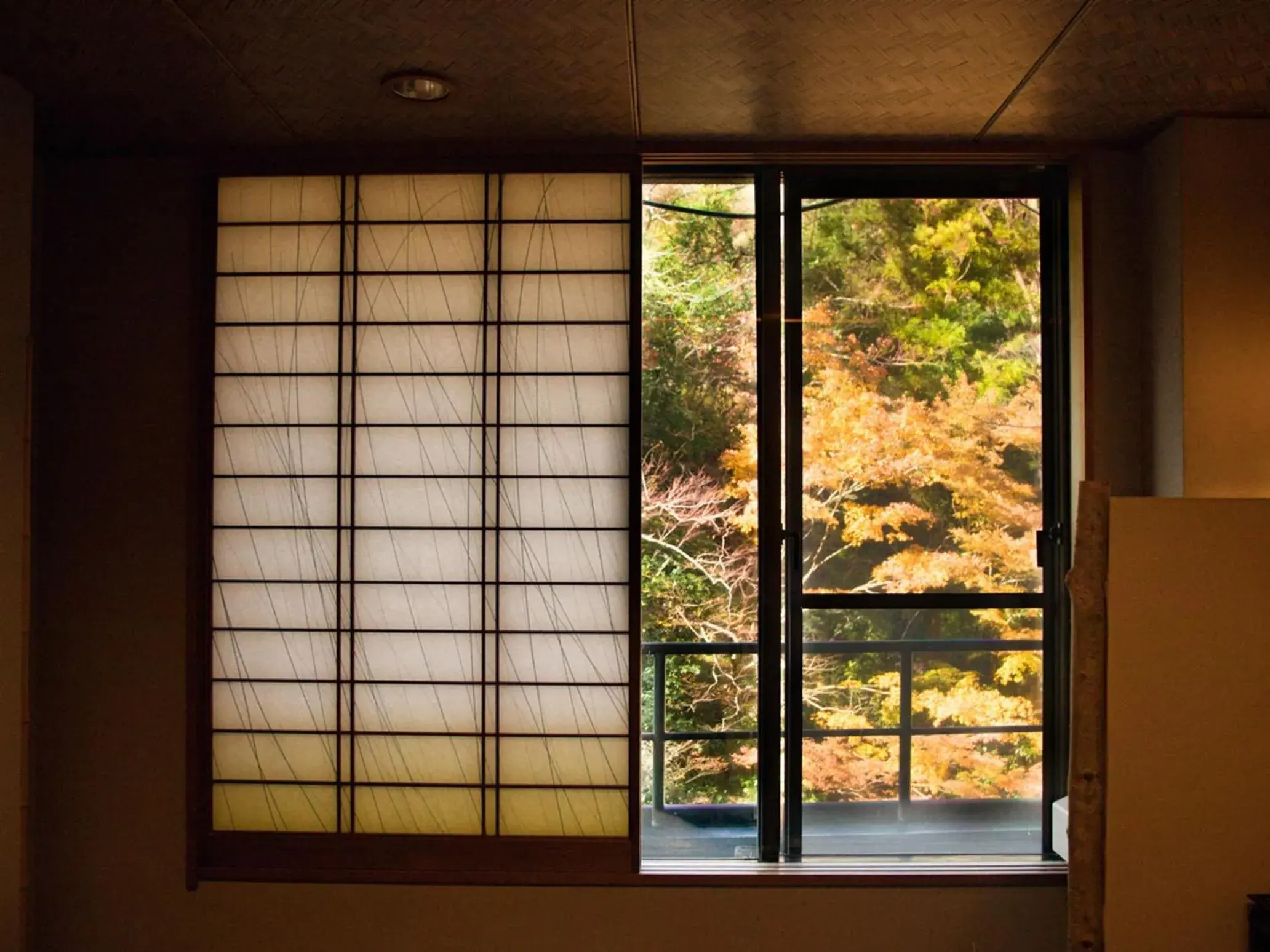 View (from property/room) in LiVEMAX RESORT Shizuoka Amagiyugashima View (from property/room) in LiVEMAX RESORT Shizuoka Amagiyugashima