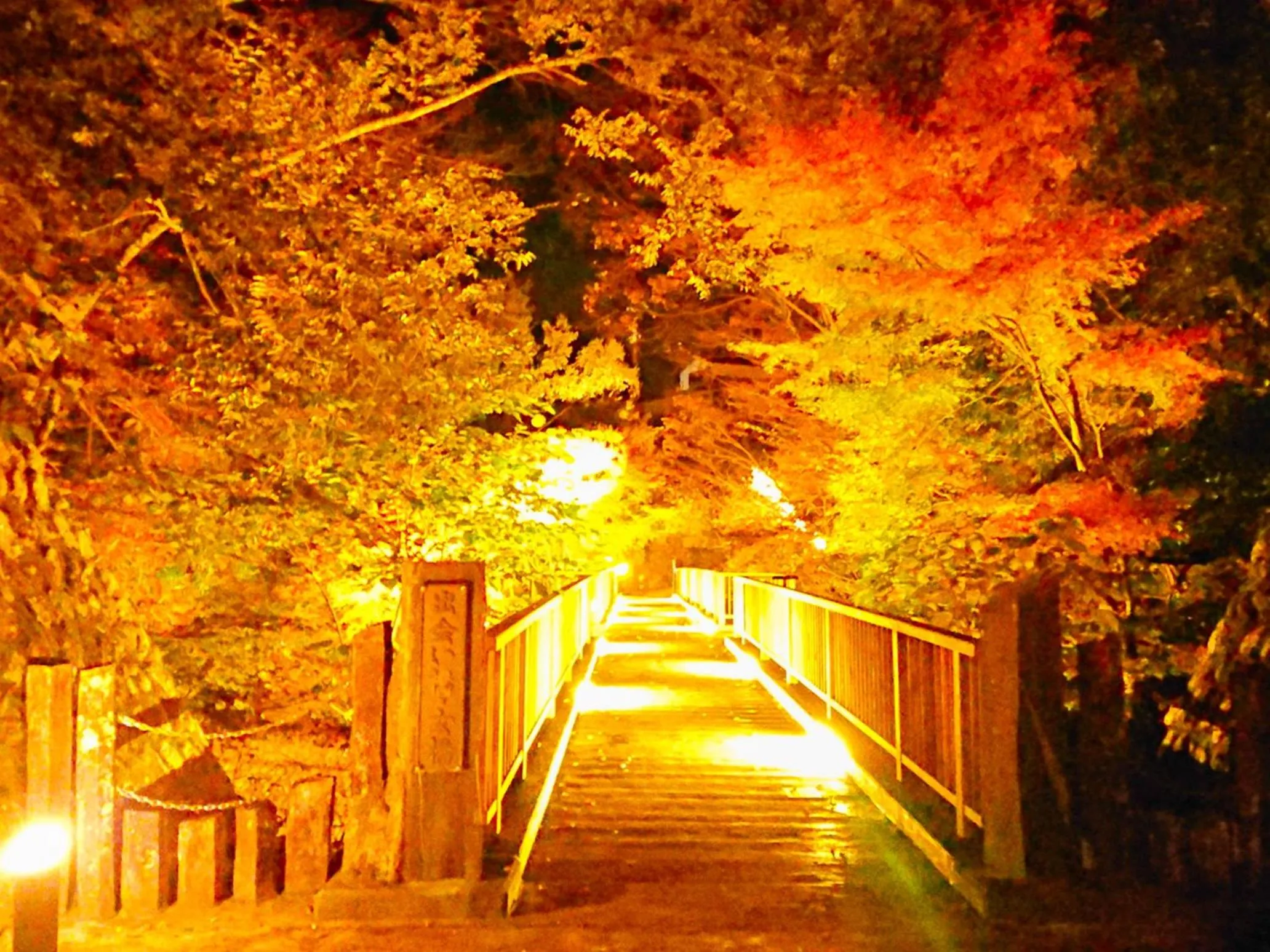 Night in LiVEMAX RESORT Shizuoka Amagiyugashima