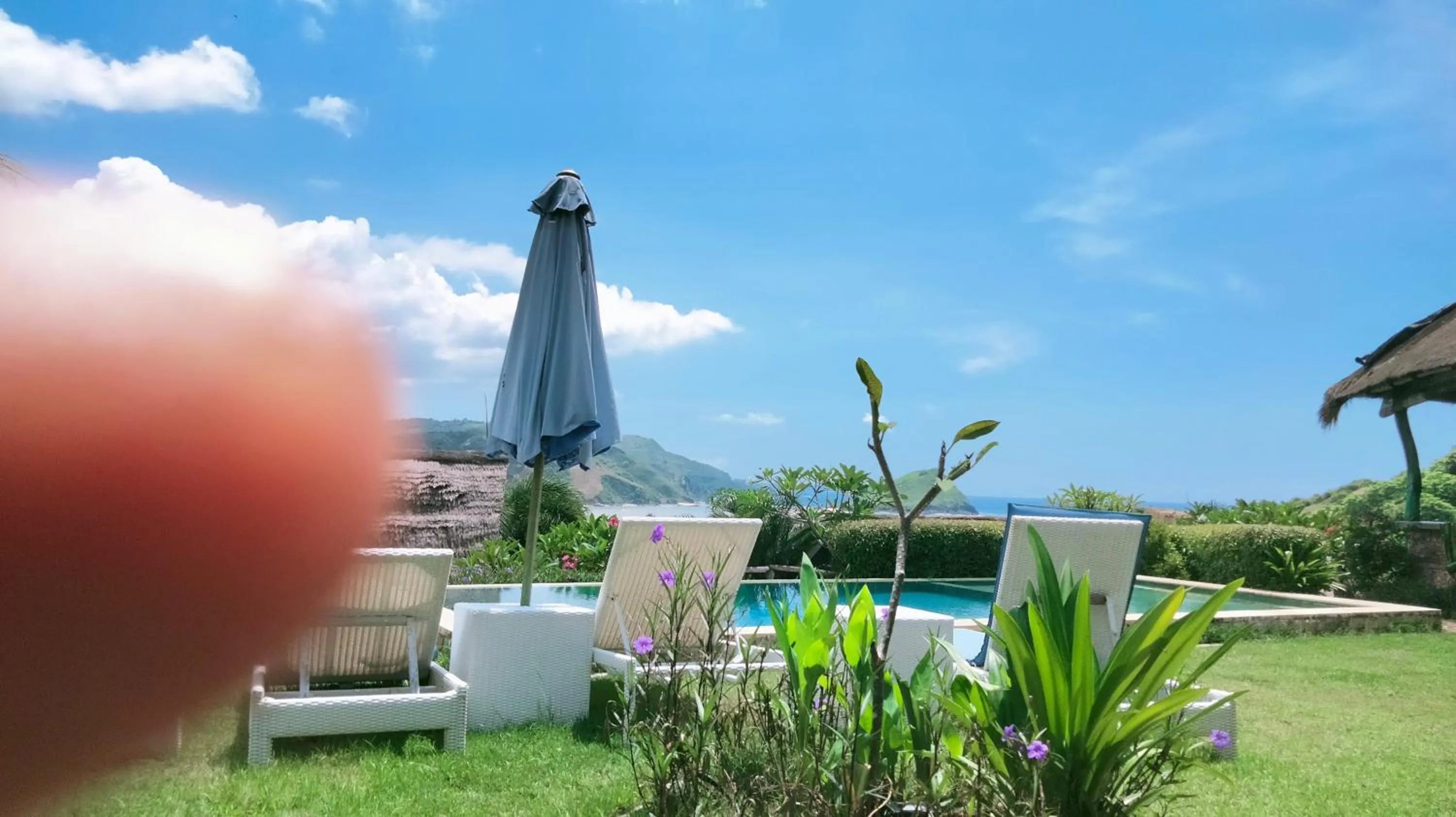 Blue Monkey Retreat Areguling Lombok