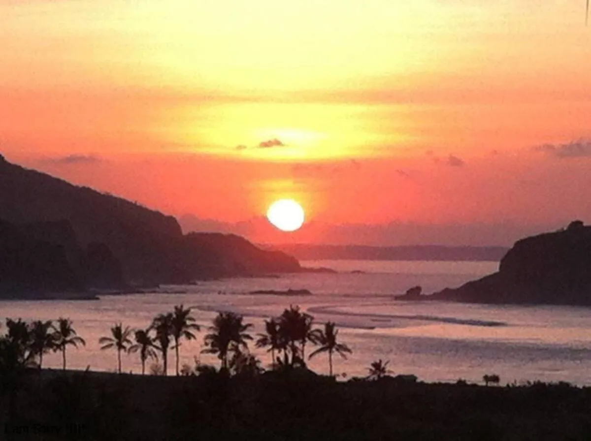 Blue Monkey Retreat Areguling Lombok